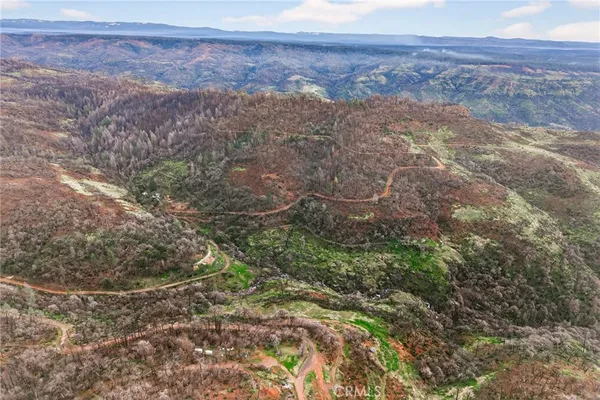 a view of a forest