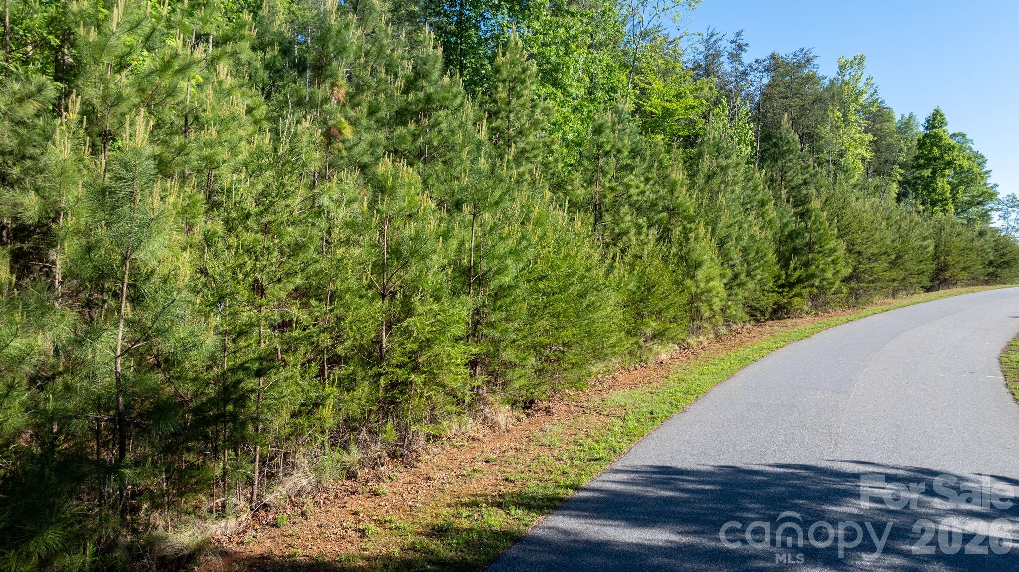 3030 Channel View Cove Morganton, NC 28655 - Photo 6 of 25