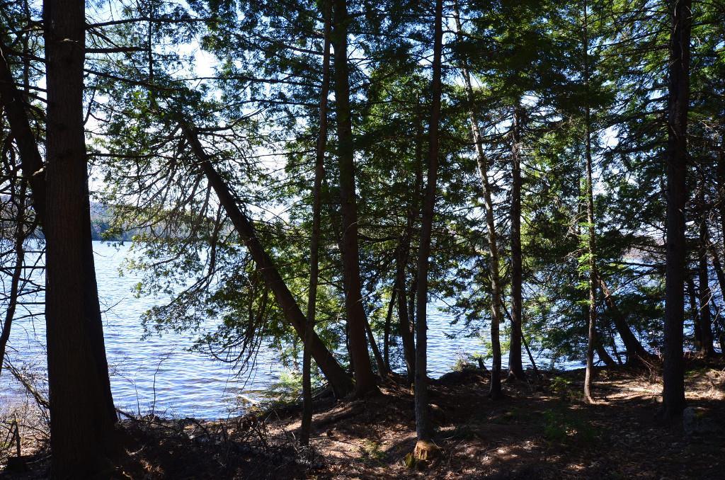 L3 Houston Road Lincoln, ME 04457 - Photo 7 of 16 Photo
