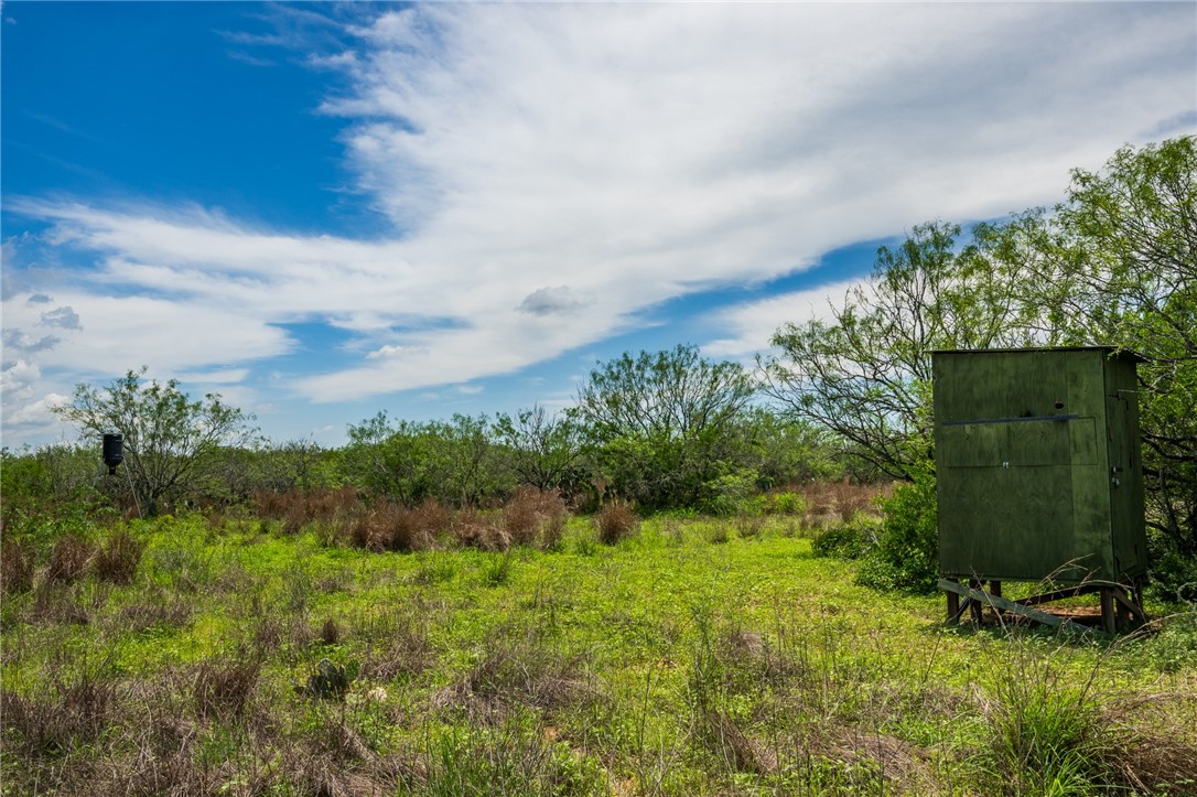 0 Fm 3249 Realitos, TX 78376 - Photo 2 of 12 a view of a garden