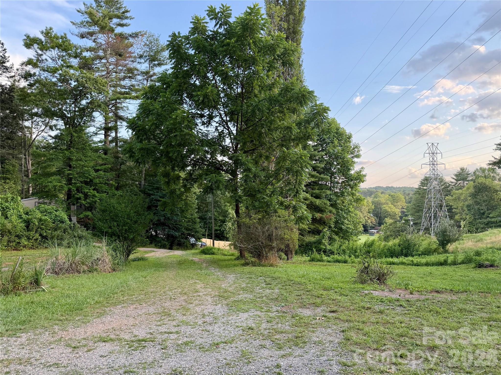 251 Cox Road Pisgah Forest, NC 28768 - Photo 2 of 15