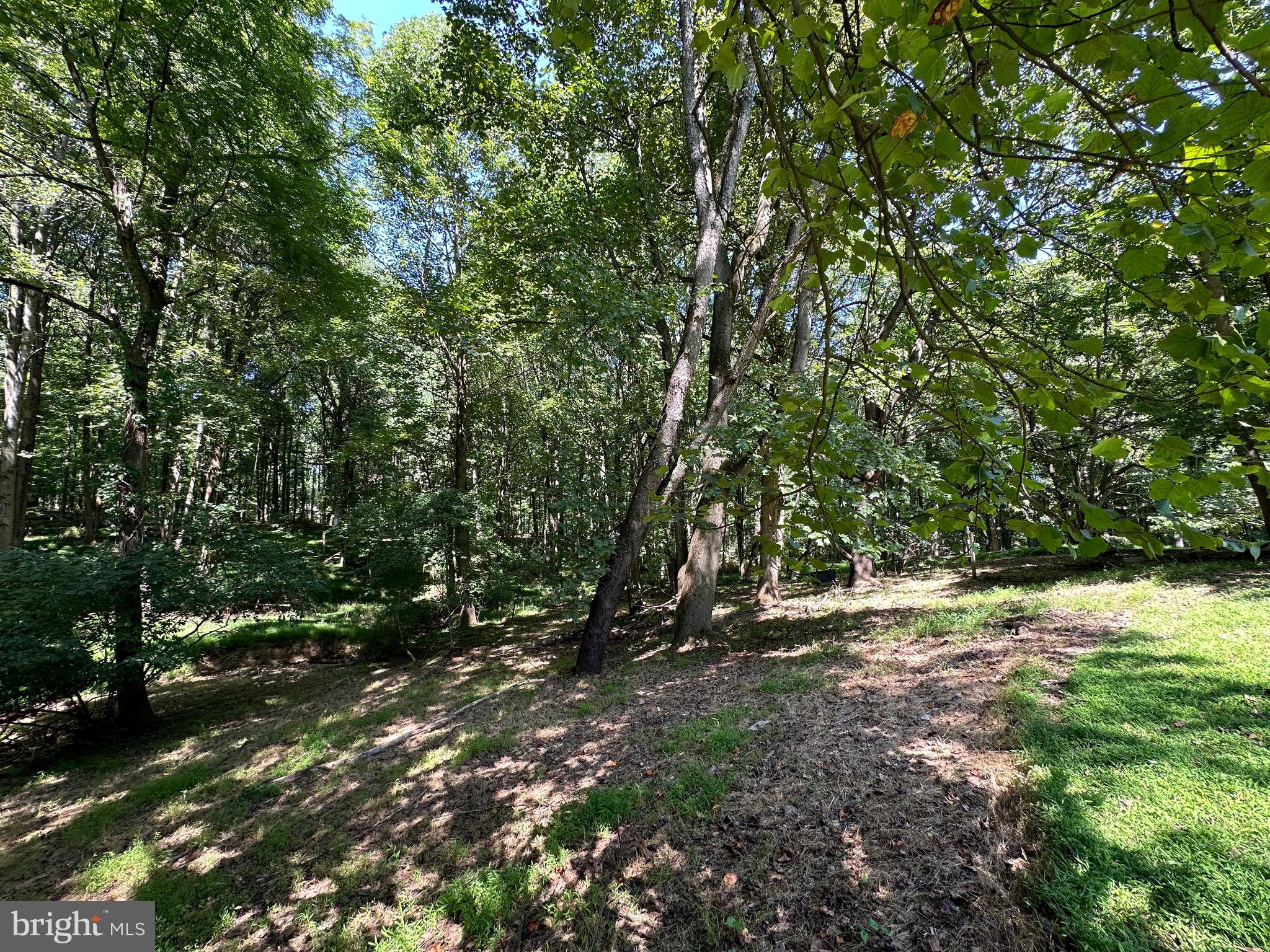 13264 Hunt Ridge Road Ellicott City, MD 21042 - Photo 40 of 42 Gallery Image 40