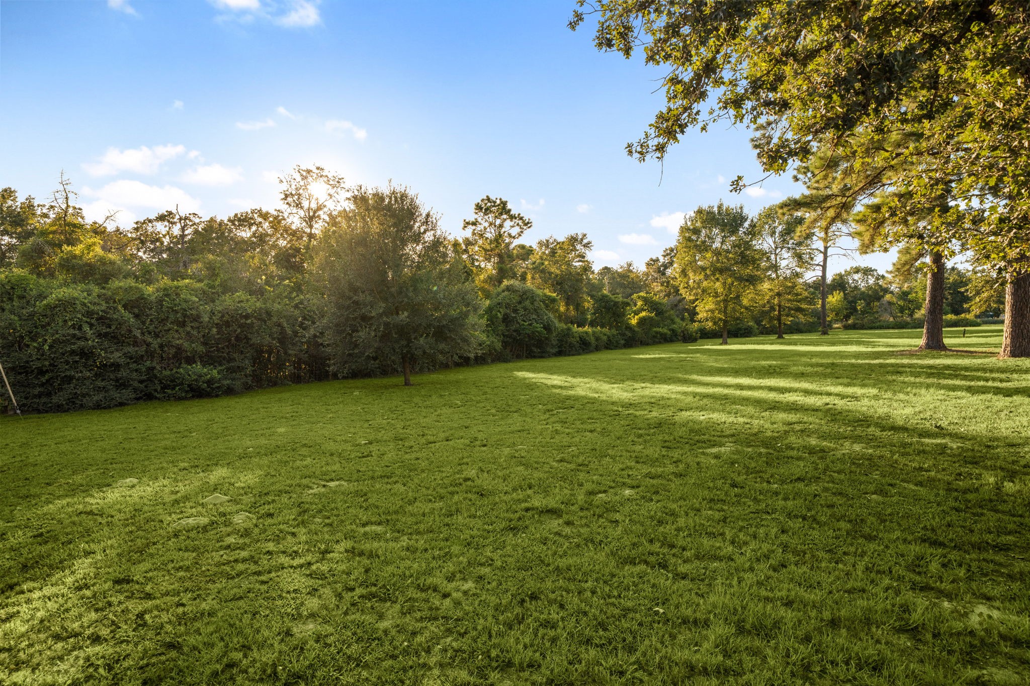 409 Sikes Road Bellville, TX 77418 - Photo 39 of 46 Gallery Image 39