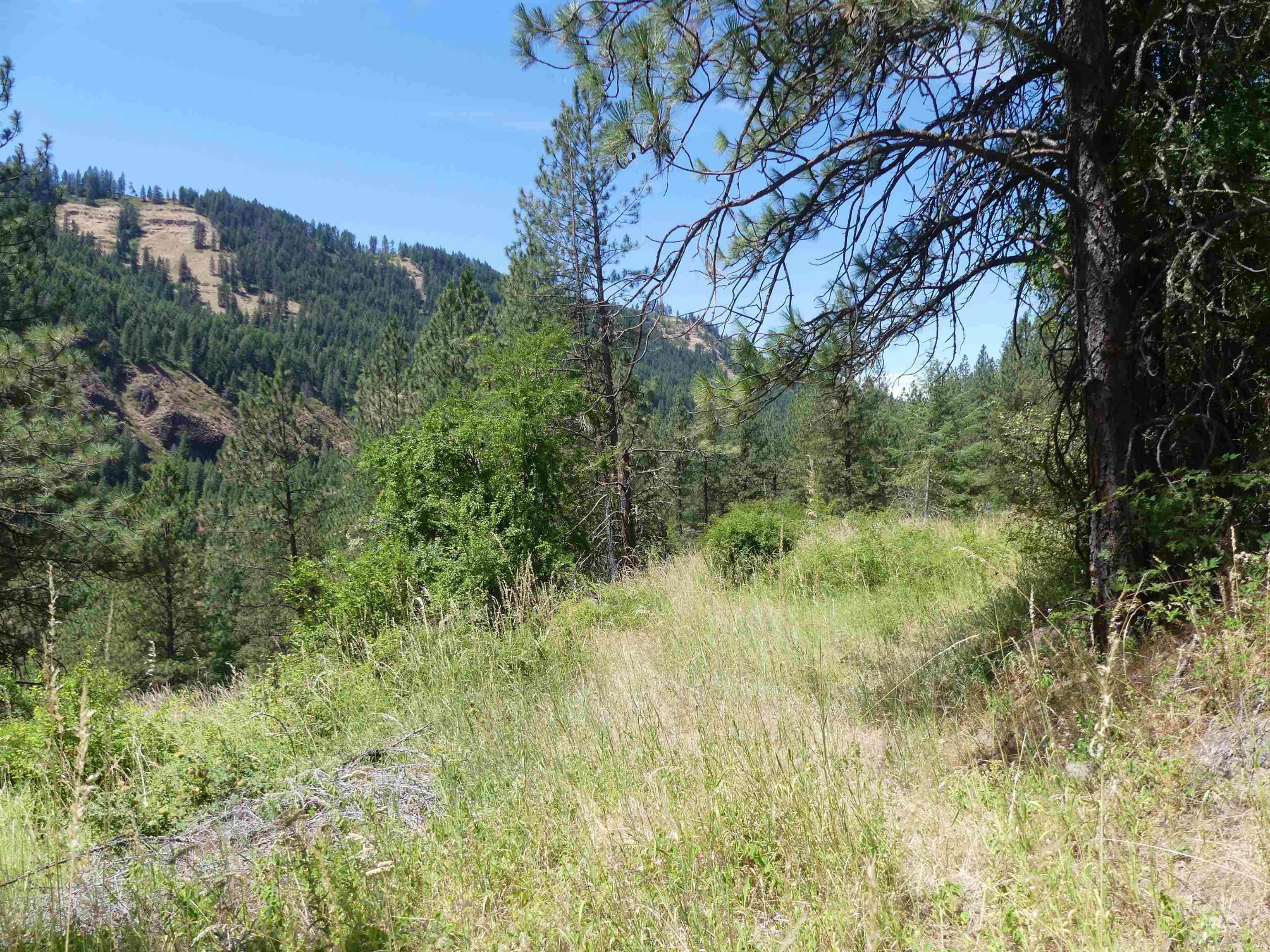 46601 Little Canyon Road Orofino, ID 83544 - Photo 45 of 46