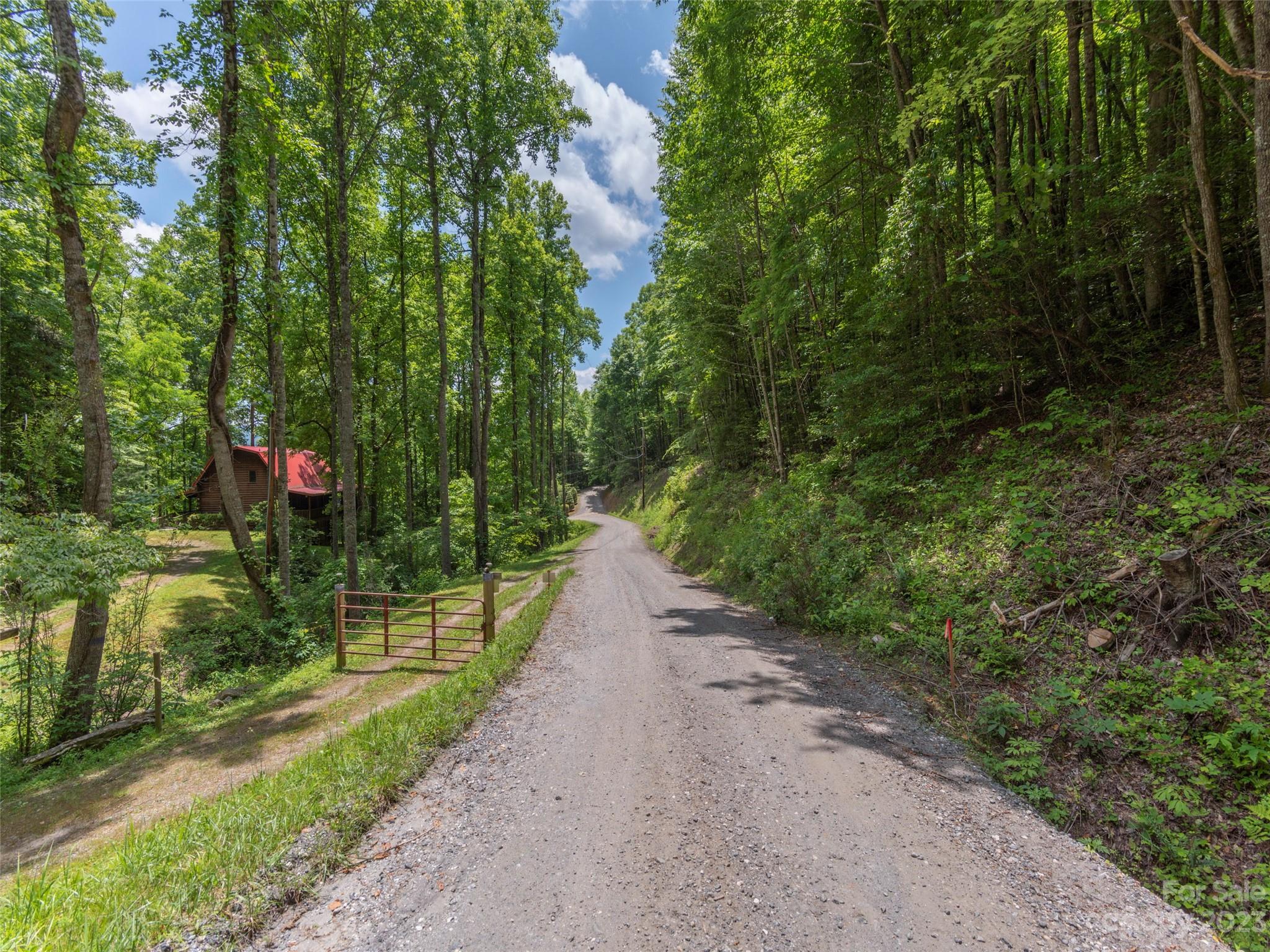 Lot 16 Lanterns Wick Trail Sylva, NC 28779 - Photo 4 of 8 a view of a pathway of a park