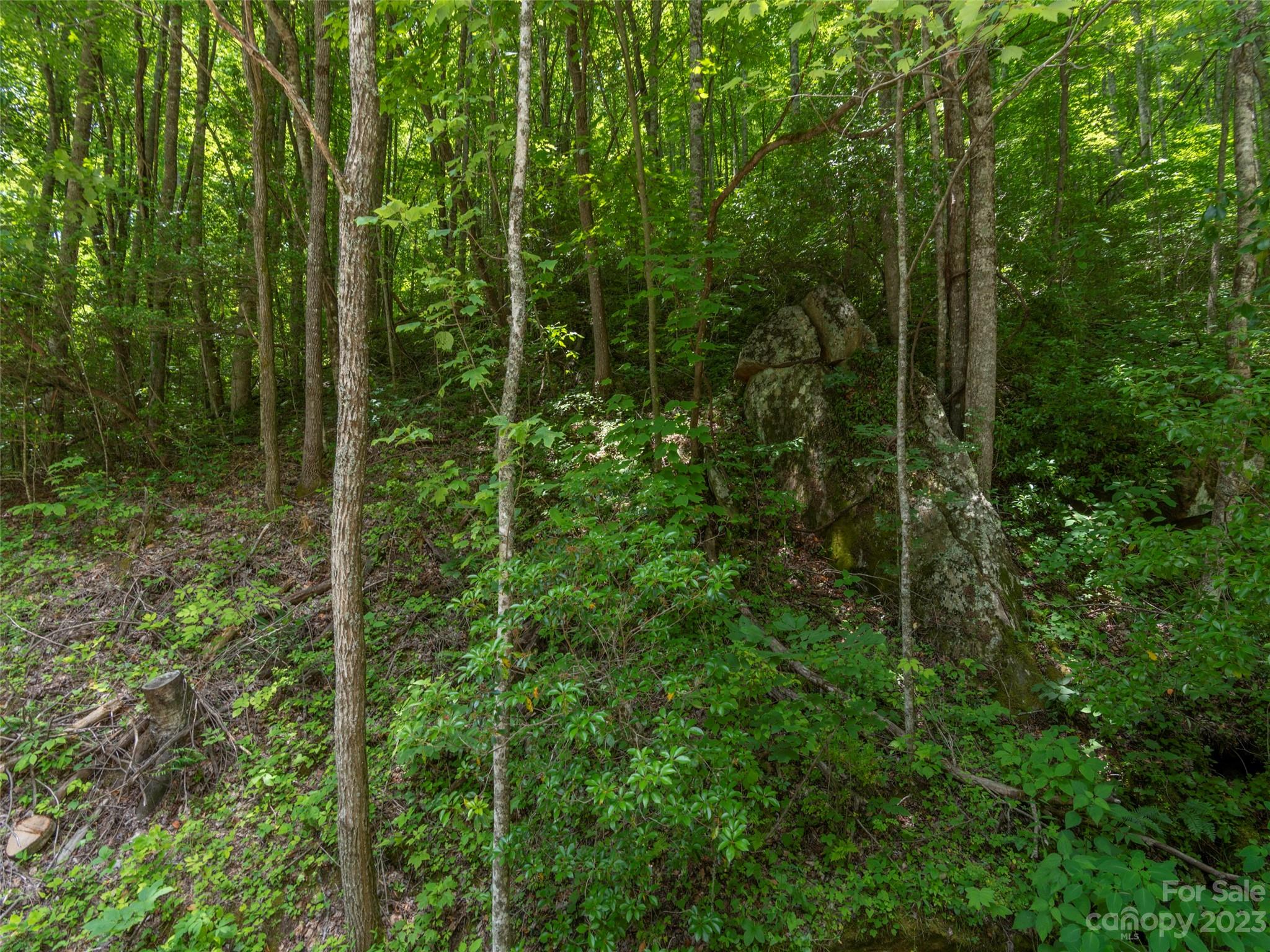 Lot 16 Lanterns Wick Trail Sylva, NC 28779 - Photo 6 of 8