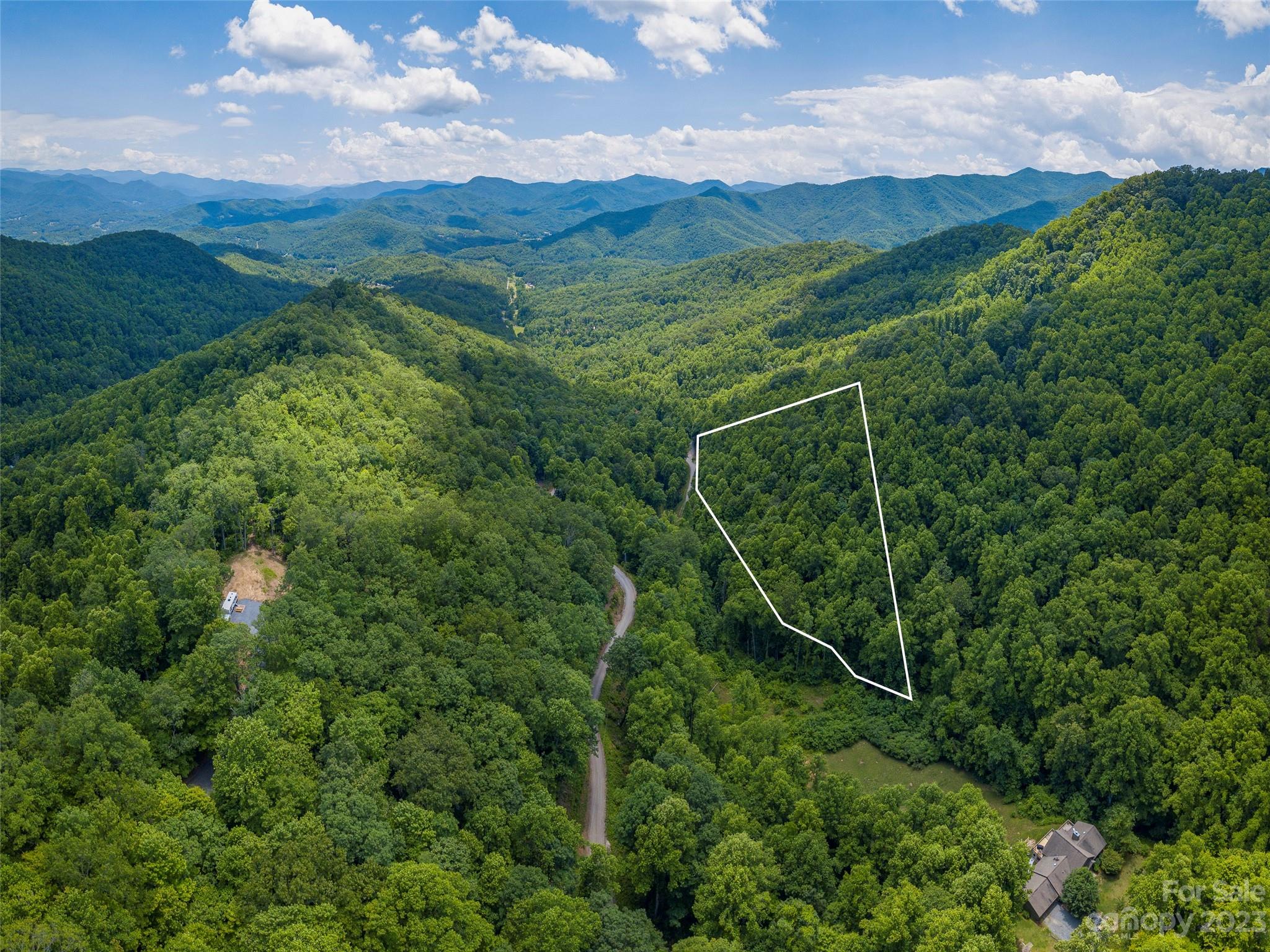 Lot 16 Lanterns Wick Trail Sylva, NC 28779 - Photo 8 of 8 a view of a lush green forest with lots of trees