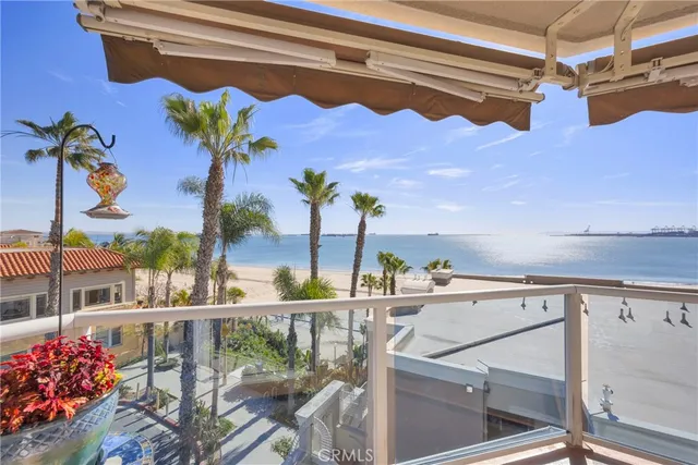 a view of a terrace with furniture and a potted plant