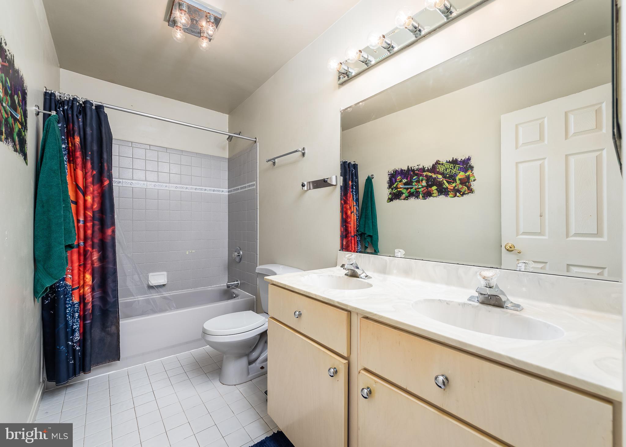 316 Delight Meadows Road Reisterstown, MD 21136 - Photo 14 of 48 Main hall bathroom