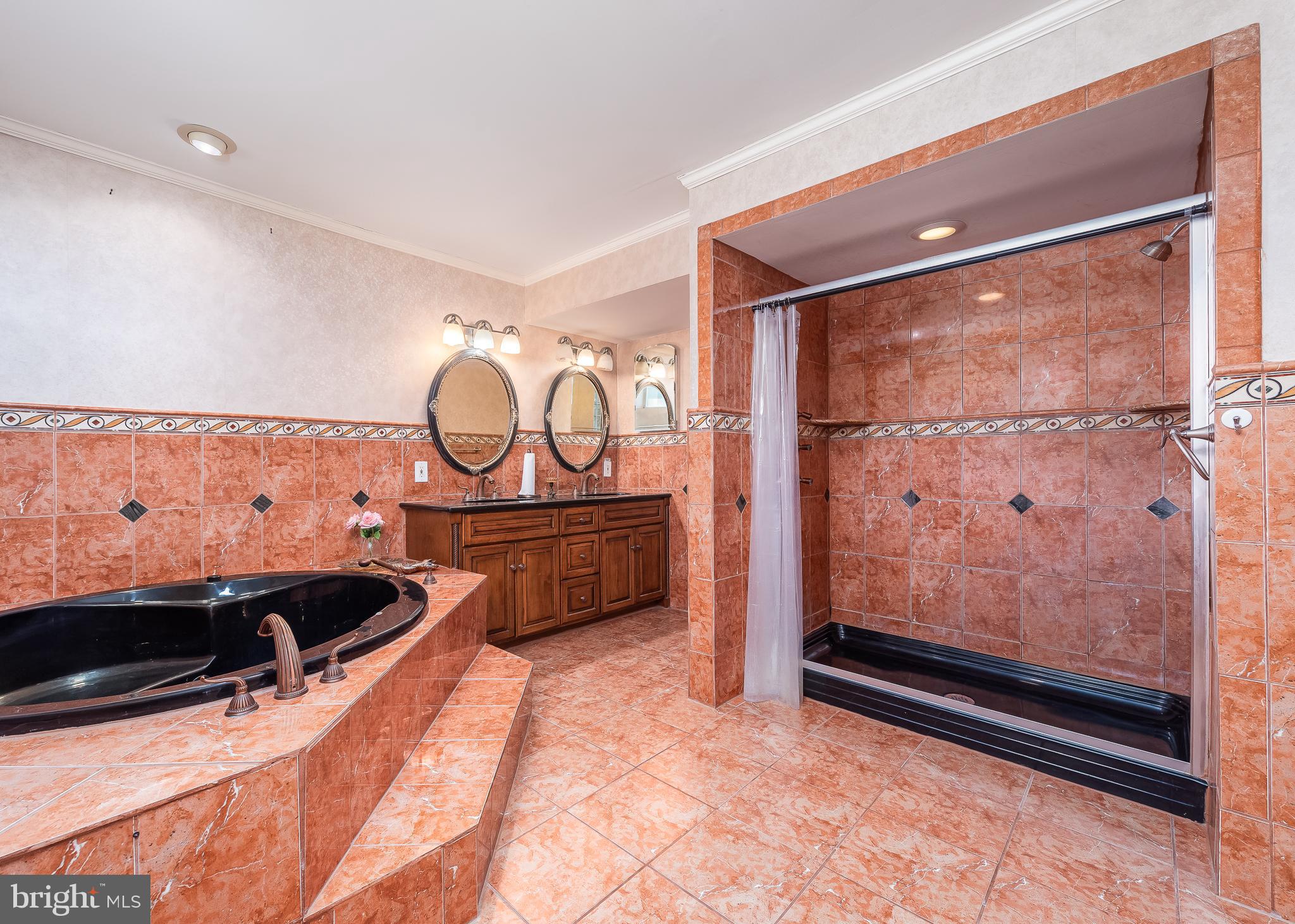 316 Delight Meadows Road Reisterstown, MD 21136 - Photo 32 of 48 Full 2nd primary suite with huge bathroom