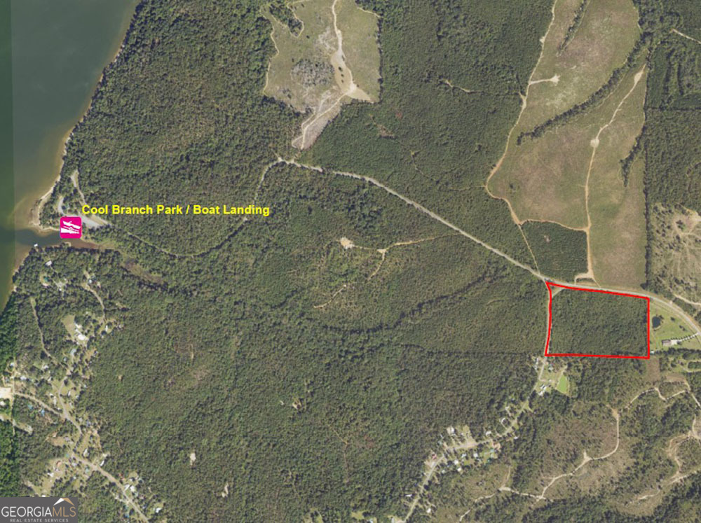 0 Cool Branch Road Georgetown, GA 39854 - Photo 1 of 6 a bathroom with a shower