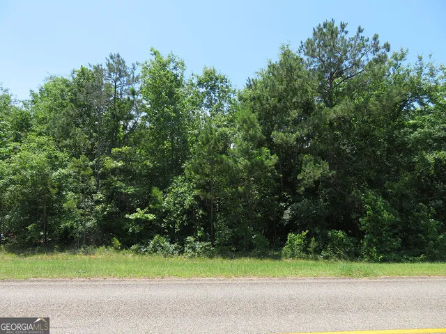 a view of a yard in front of a house