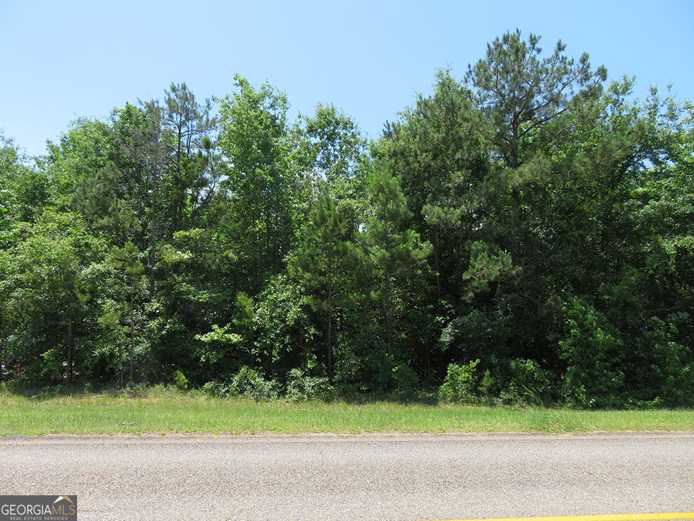 0 Cool Branch Road Georgetown, GA 39854 - Photo 6 of 6 a view of a yard in front of a house