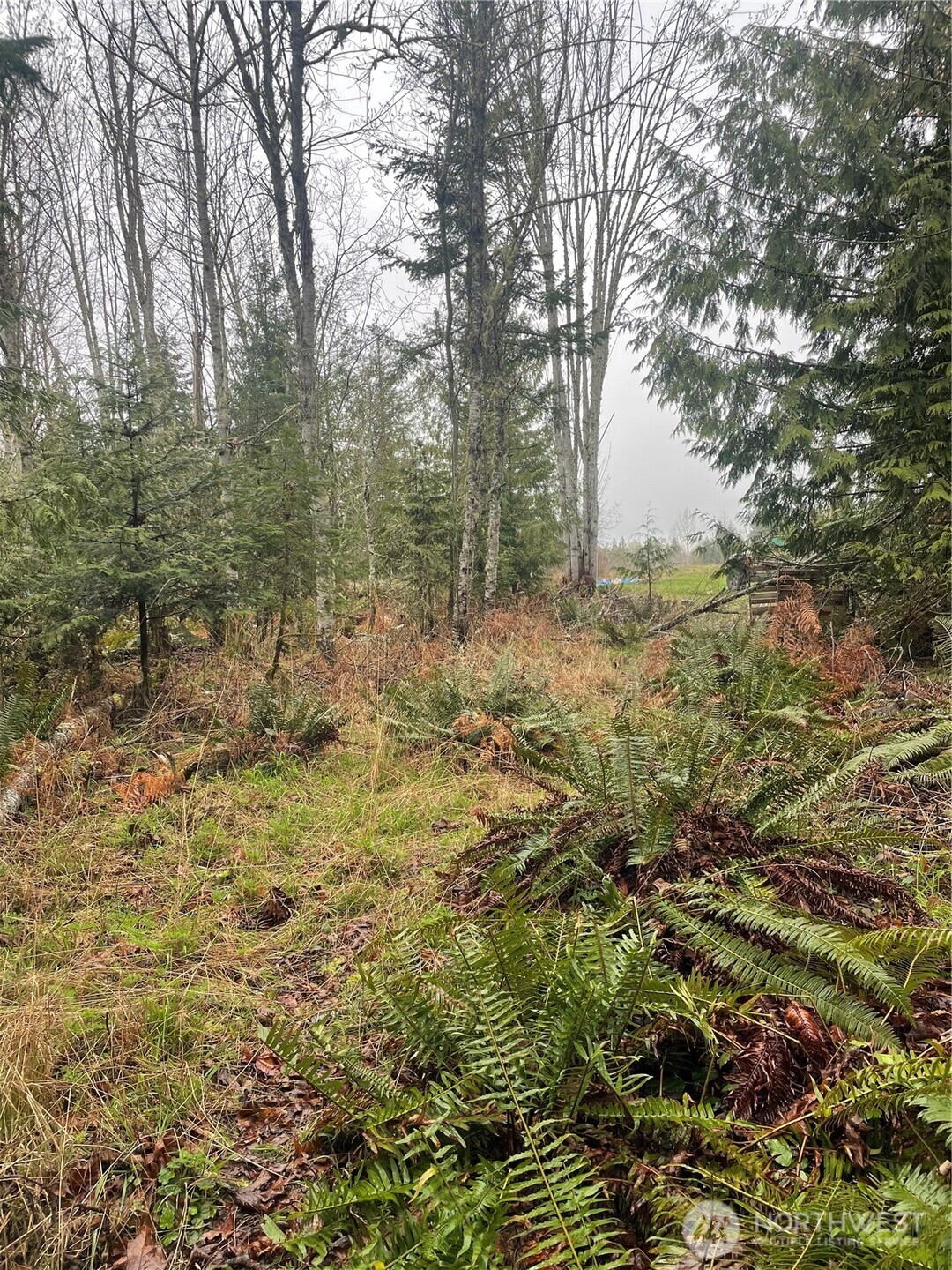 405 Elk Run Trail Port Angeles, WA 98362 - Photo 14 of 19 a view of a yard with plants and trees