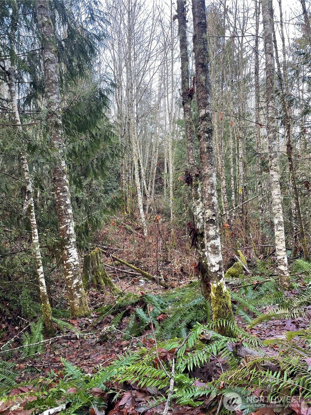 405 Elk Run Trail Port Angeles, WA 98362 - Photo 15 of 19 a view of a garden