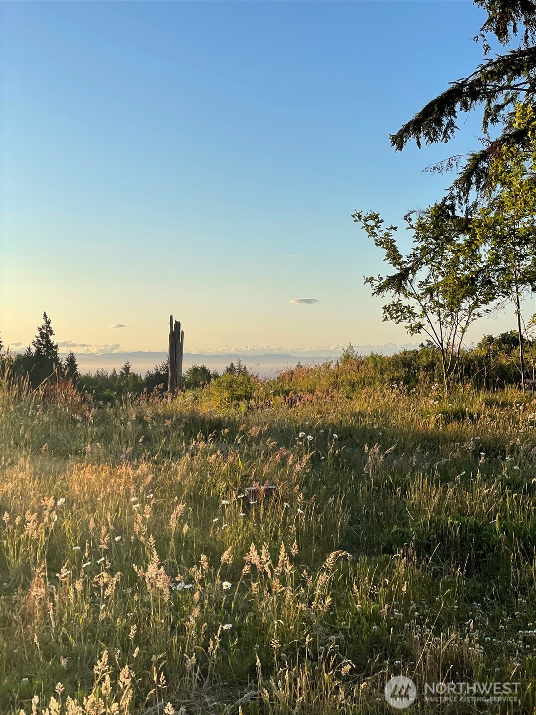405 Elk Run Trail Port Angeles, WA 98362 - Photo 16 of 19 a view of a city