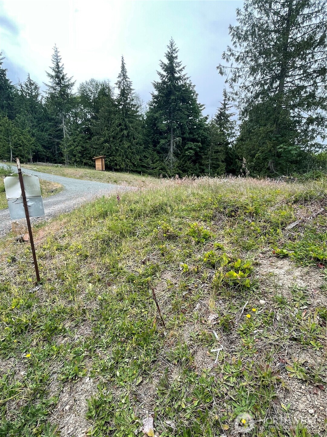 405 Elk Run Trail Port Angeles, WA 98362 - Photo 17 of 19 a view of a field with some trees in the background