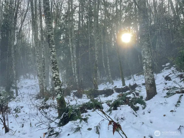 a view of a backyard of a house