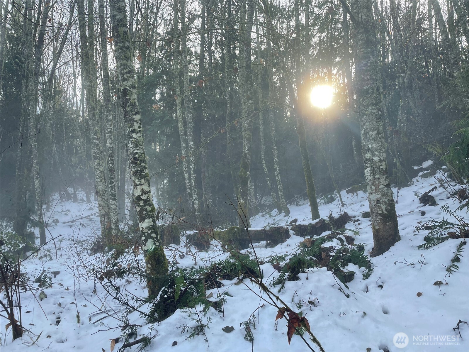 405 Elk Run Trail Port Angeles, WA 98362 - Photo 18 of 19 a view of a backyard of a house