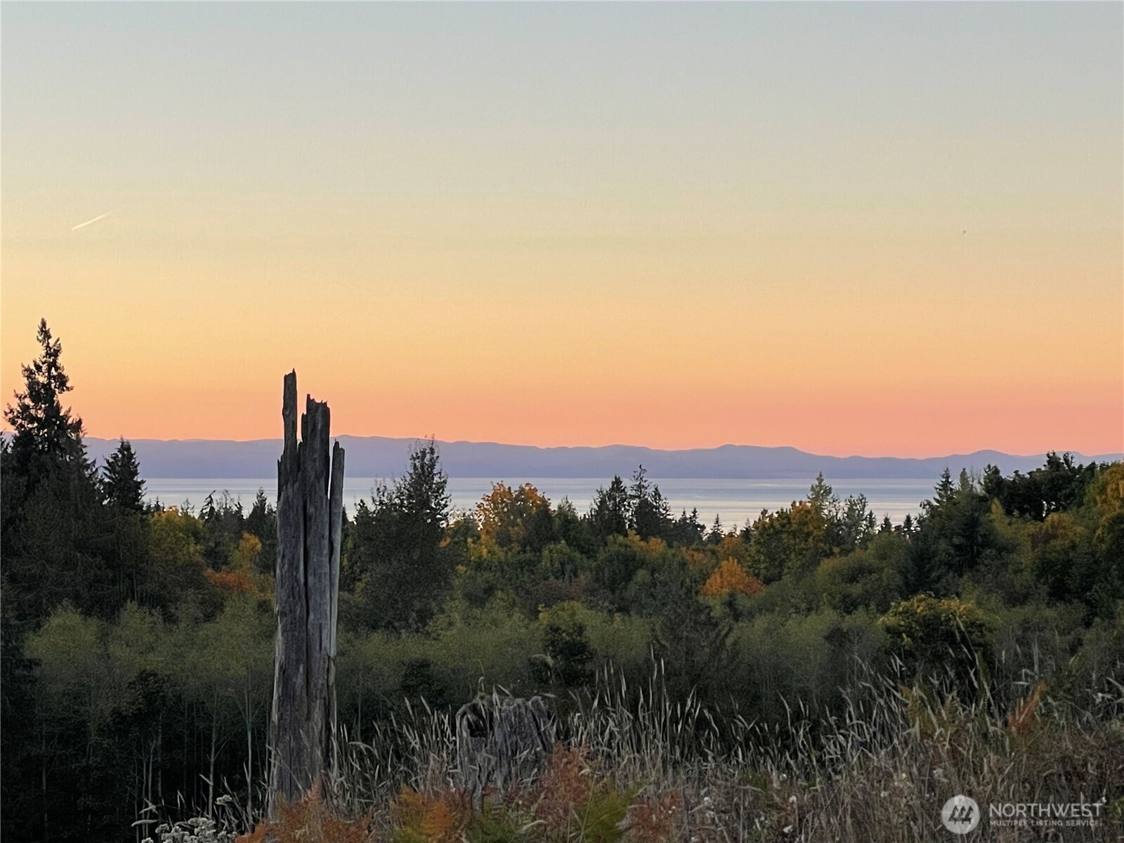 405 Elk Run Trail Port Angeles, WA 98362 - Photo 2 of 19 a view of a city with lush green forest