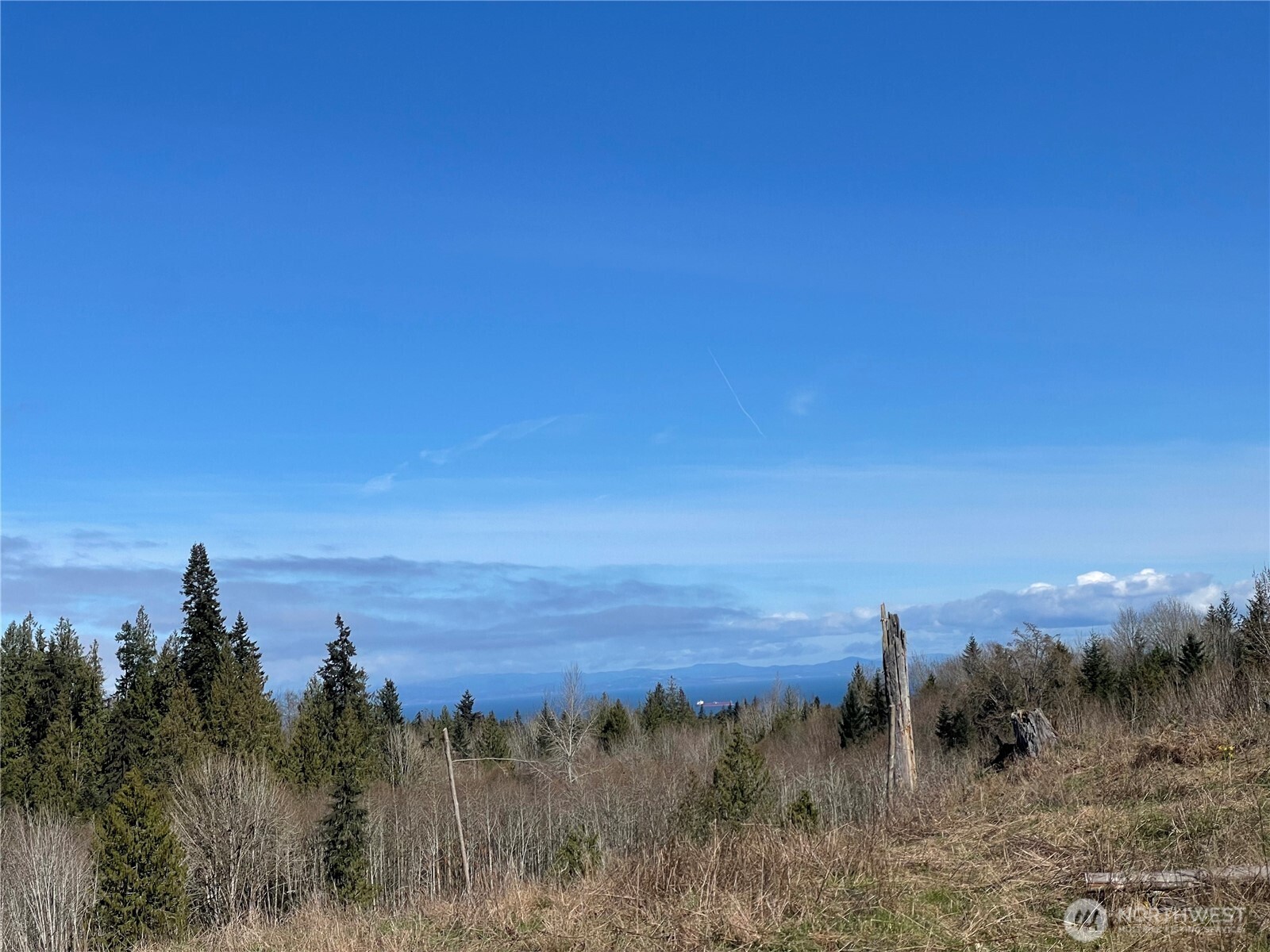 405 Elk Run Trail Port Angeles, WA 98362 - Photo 3 of 19 a view of lake and mountain