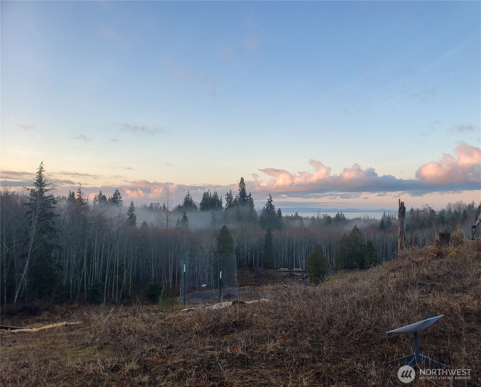 405 Elk Run Trail Port Angeles, WA 98362 - Photo 4 of 19 a view of a yard with a sink