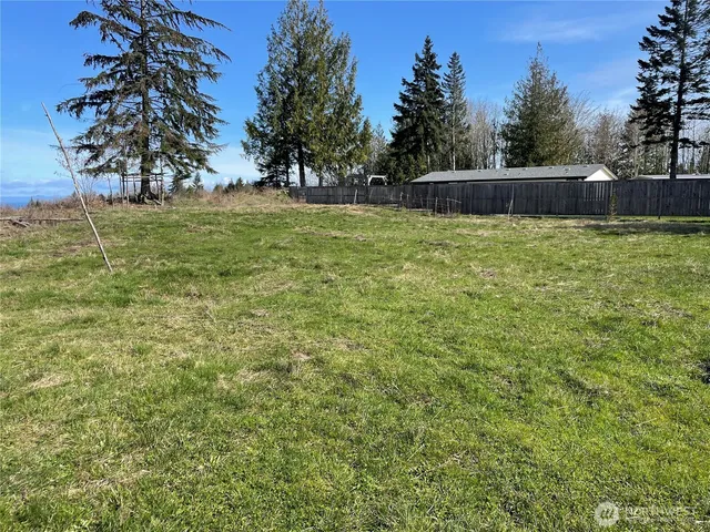 a view of a backyard with a large tree