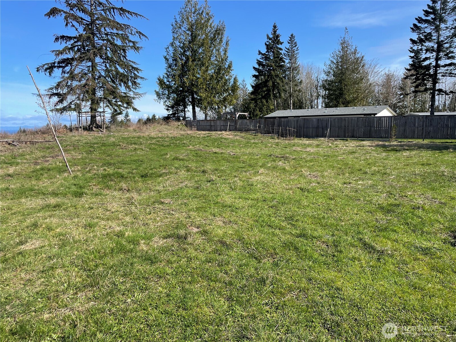 405 Elk Run Trail Port Angeles, WA 98362 - Photo 6 of 19 a view of a backyard with a large tree