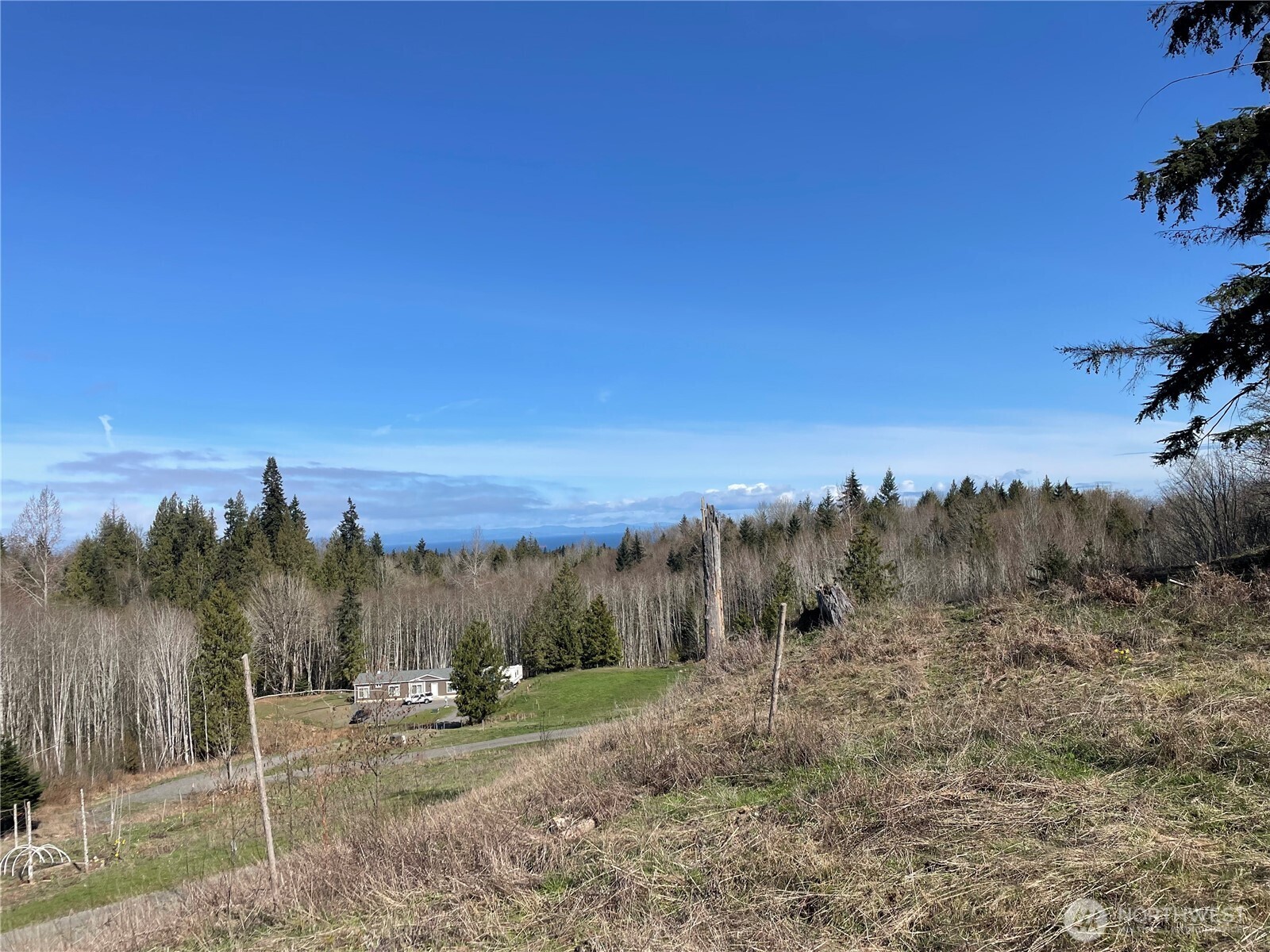 405 Elk Run Trail Port Angeles, WA 98362 - Photo 7 of 19 a view of a town with trees in the background