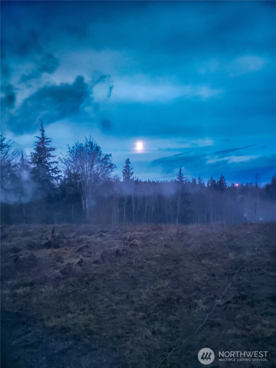 405 Elk Run Trail Port Angeles, WA 98362 - Photo 8 of 19 a view of a yard