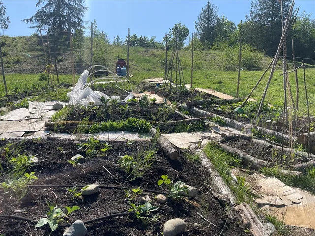a view of a park with large trees