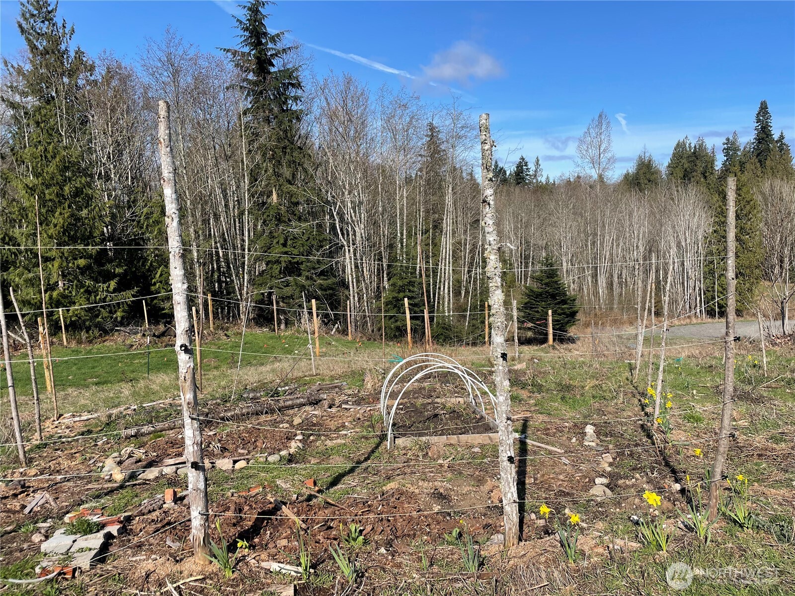 405 Elk Run Trail Port Angeles, WA 98362 - Photo 10 of 19 a view of a park with large trees