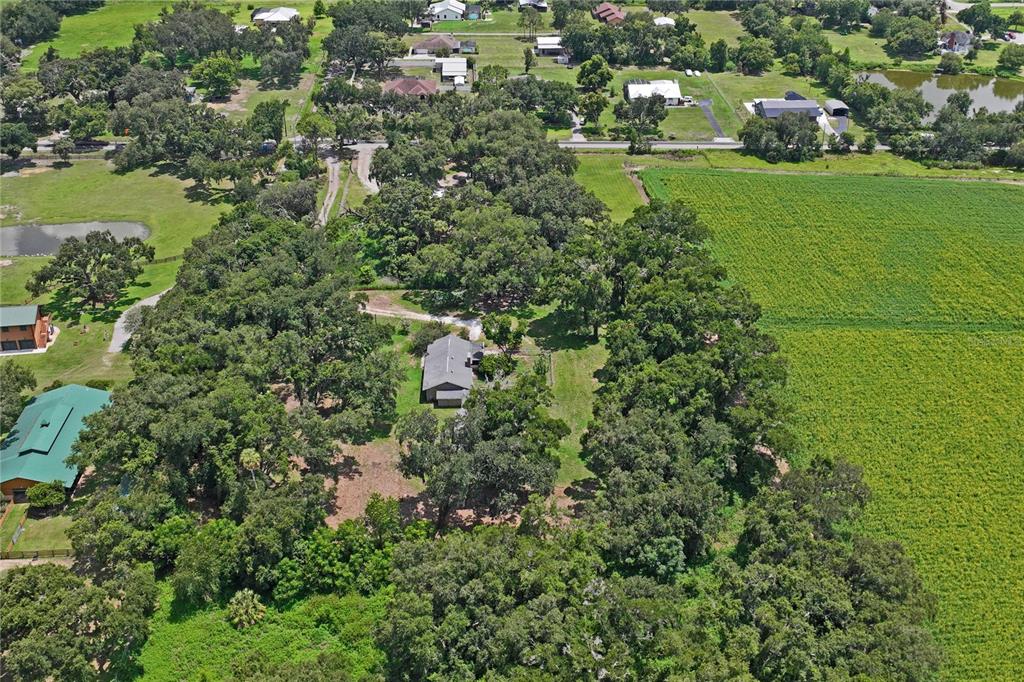6202 Stafford Road Plant City, FL 33565 - Photo 72 of 79