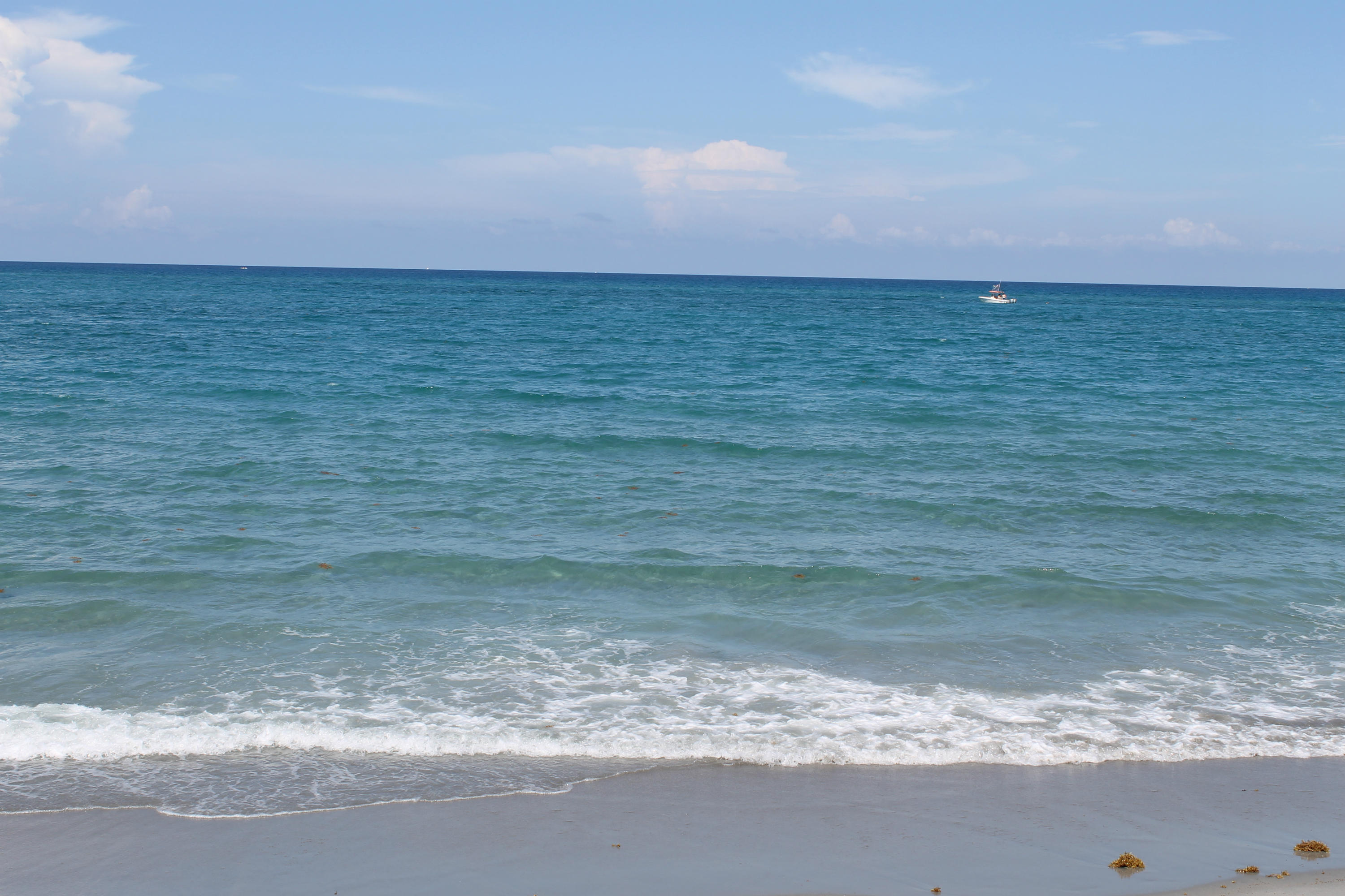 300 Ocean Trail Way, Unit 1010 Jupiter, FL 33477 - Photo 22 of 25 a view of a lake view