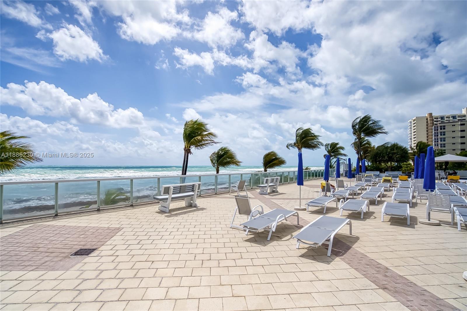 2030 South Ocean Drive, Unit 1118 Hallandale Beach, FL 33009 - Photo 51 of 58 a view of swimming pool with outdoor seating and plants