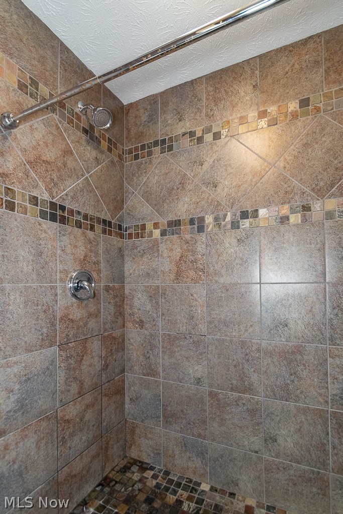 321 Barrington Ridge Road Painesville, OH 44077 - Photo 22 of 34 Sellers Upgraded and added this showering area as one of their first projects!