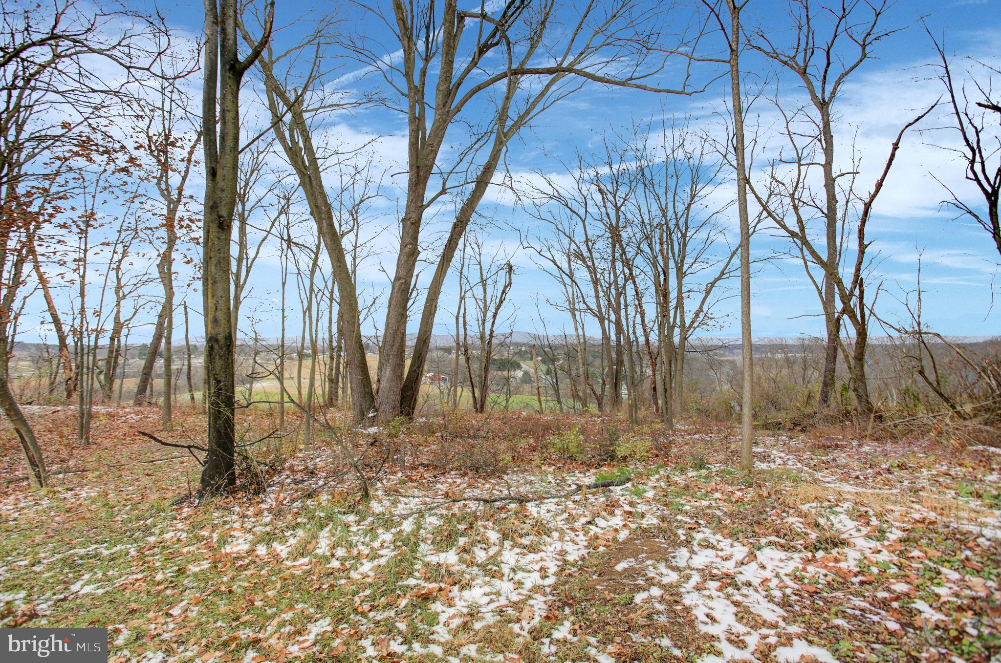 16944 Shinham Road Hagerstown, MD 21740 - Photo 28 of 29 Gallery Image 28
