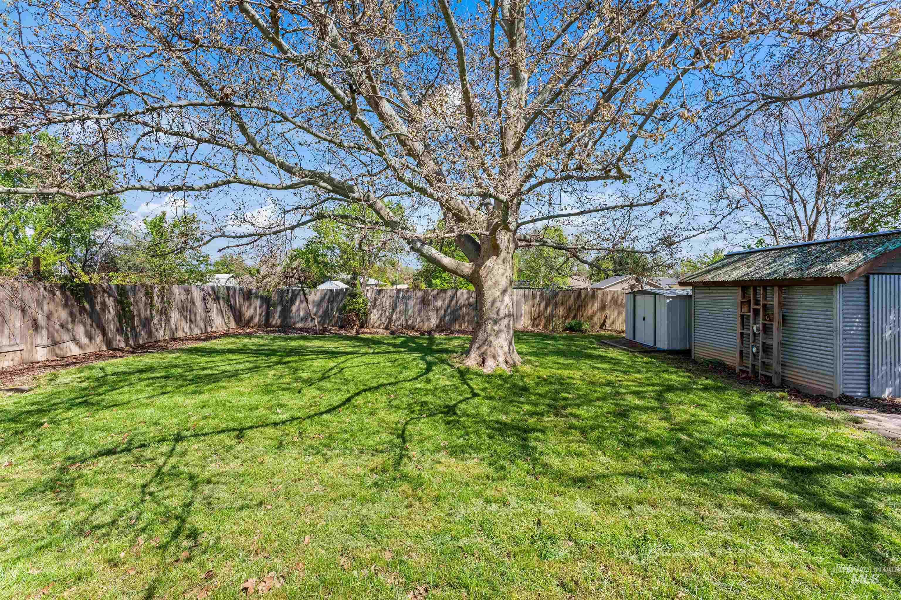 4700 Jennifer Street Boise, ID 83704 - Photo 32 of 39 Expansive backyard featuring a mature deciduous tree, a manicured lawn, a full-height wood perimeter fence, and two corrugated metal storage structures