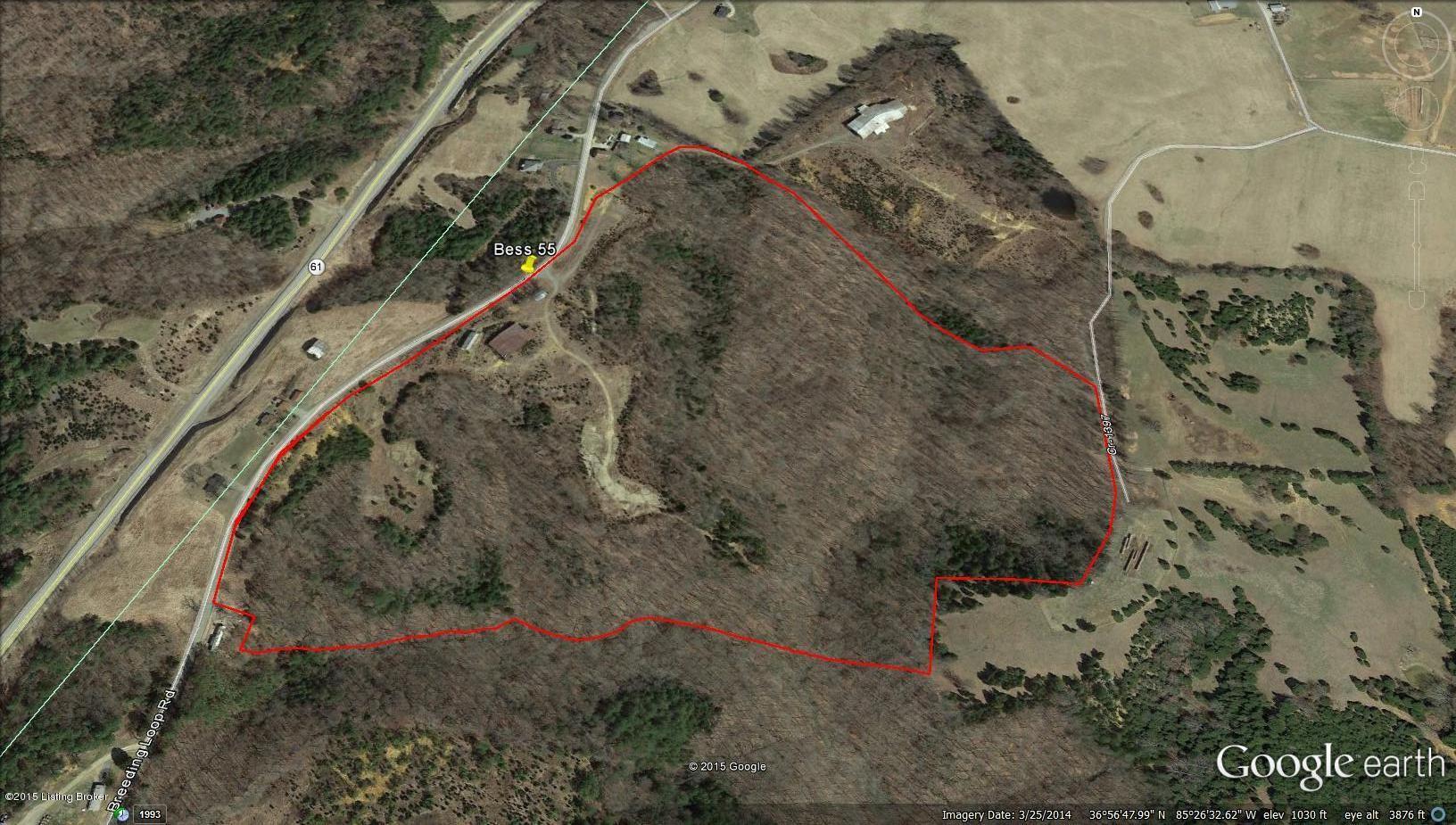 1561 Breeding Loop Road Breeding, KY 42715 - Photo 7 of 8 Bess55 aerial