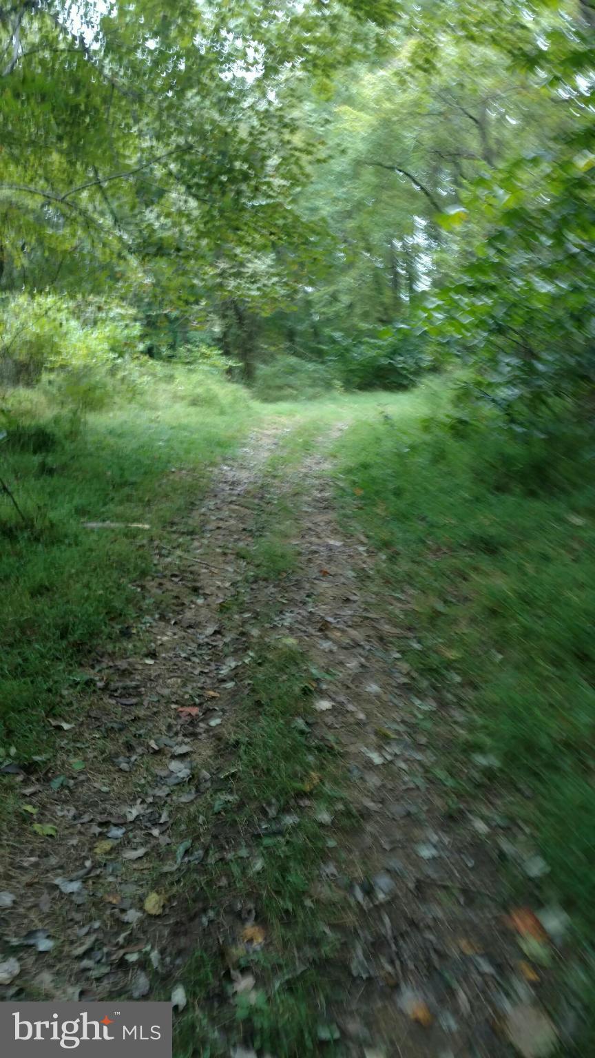 Bell Manor Road Conowingo, MD 21918 - Photo 2 of 3 View