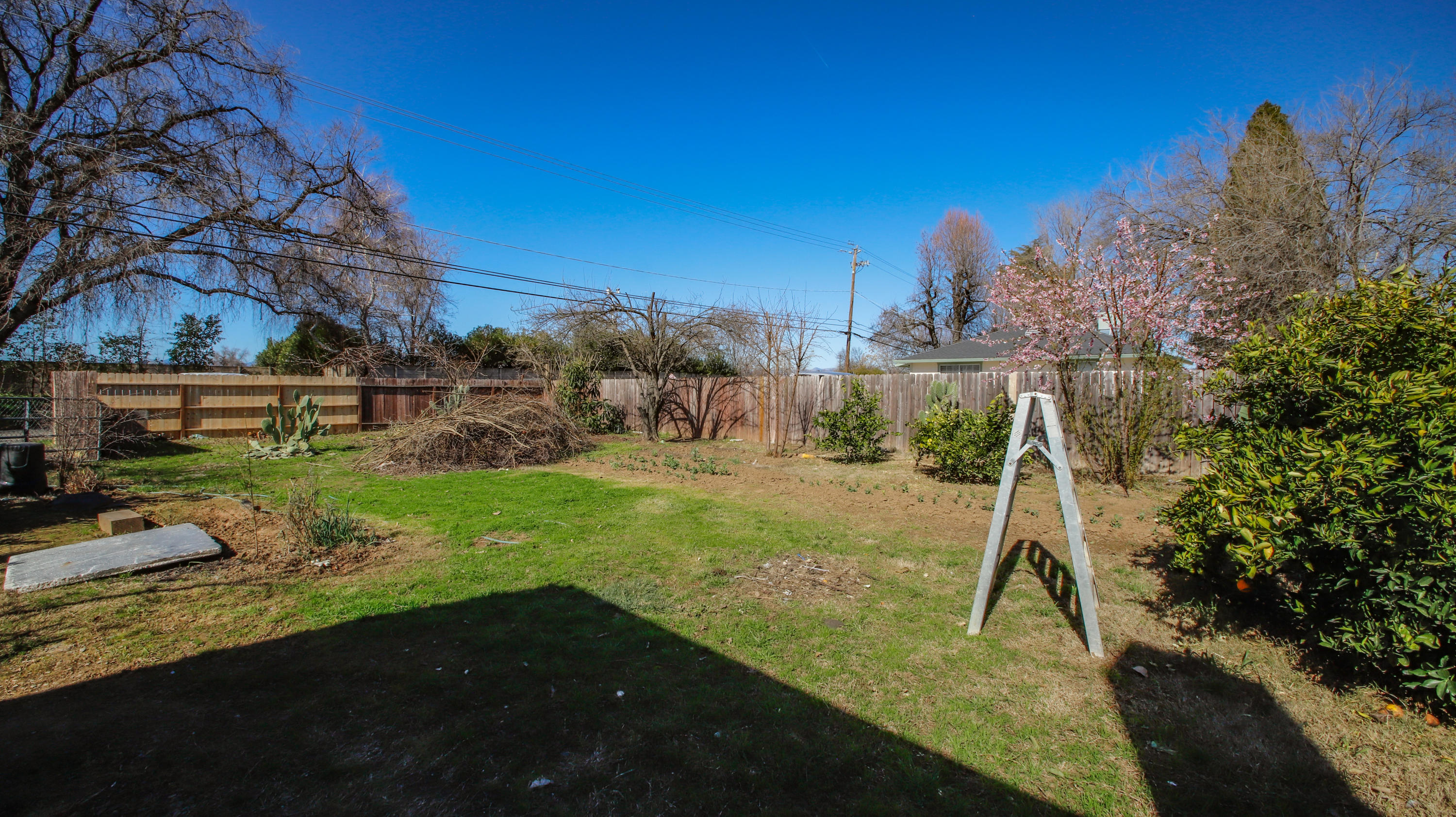 7441 Pacheco Road Redding, CA 96002 - Photo 15 of 19 a view of a garden
