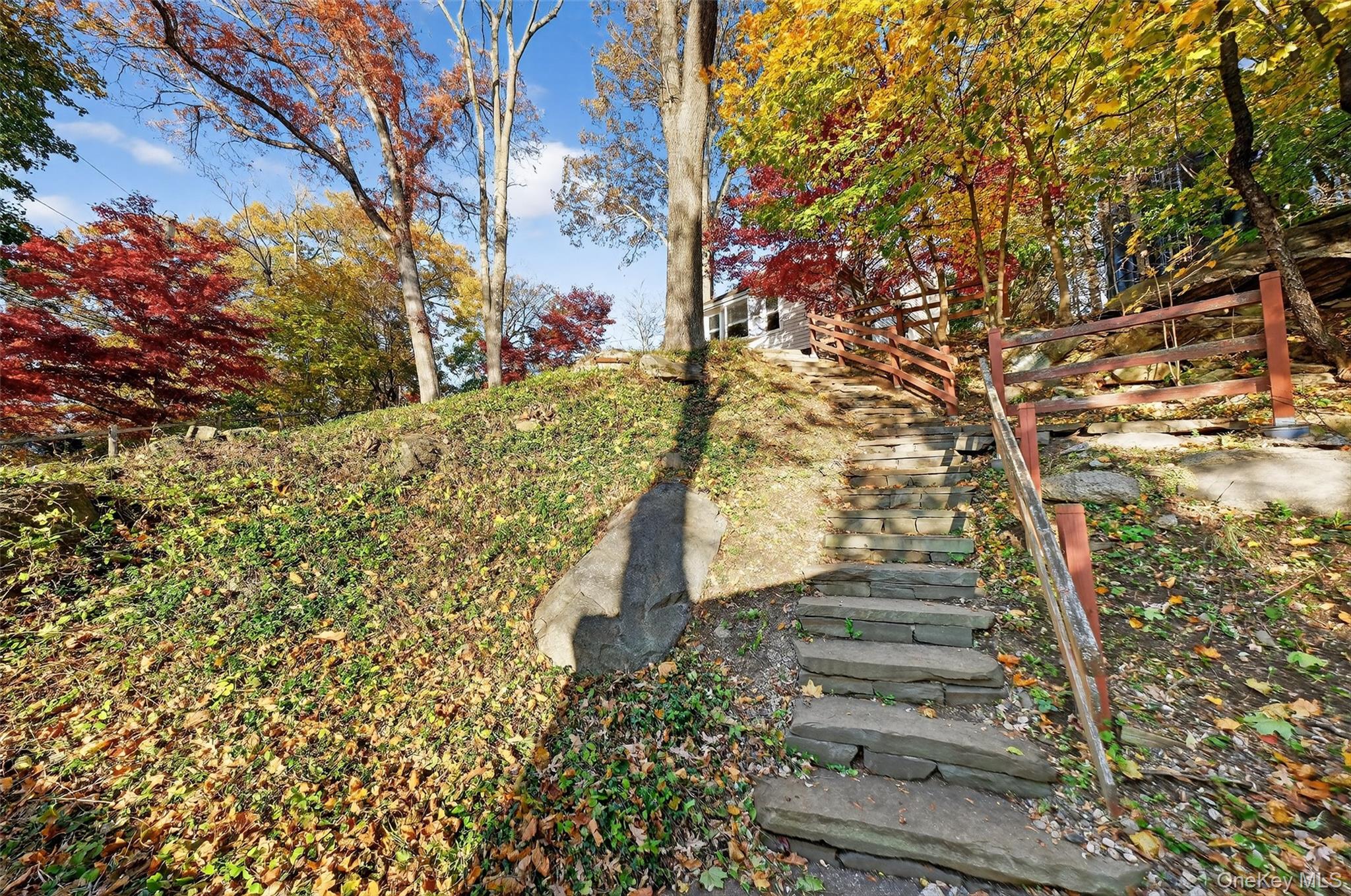 3 Crosshill Road Mahopac, NY 10541 - Photo 37 of 39 a view of a yard with plants and large trees