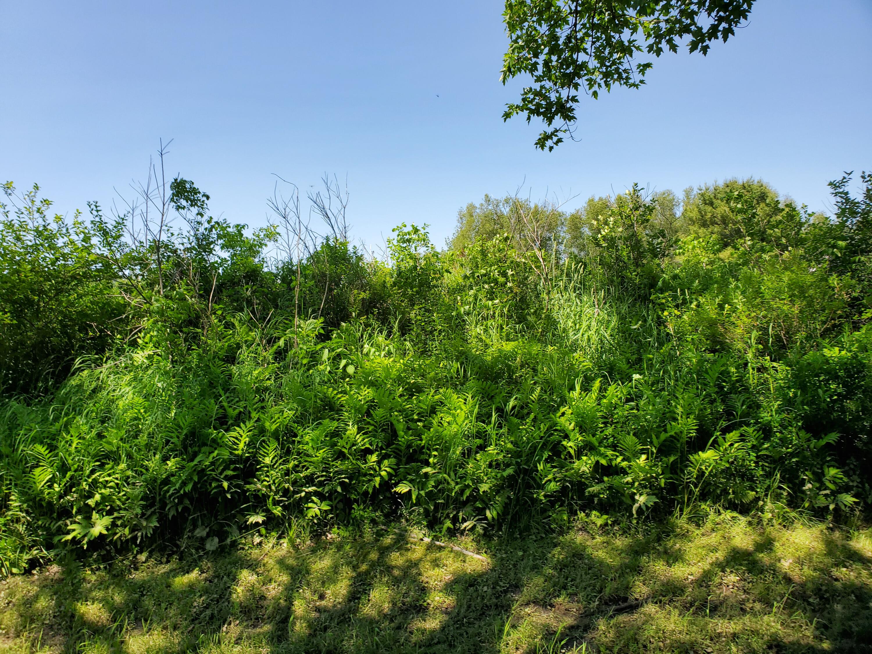 Lot 12-7 Emery Farm Road Medford, ME 04463 - Photo 11 of 13 20230622_140049