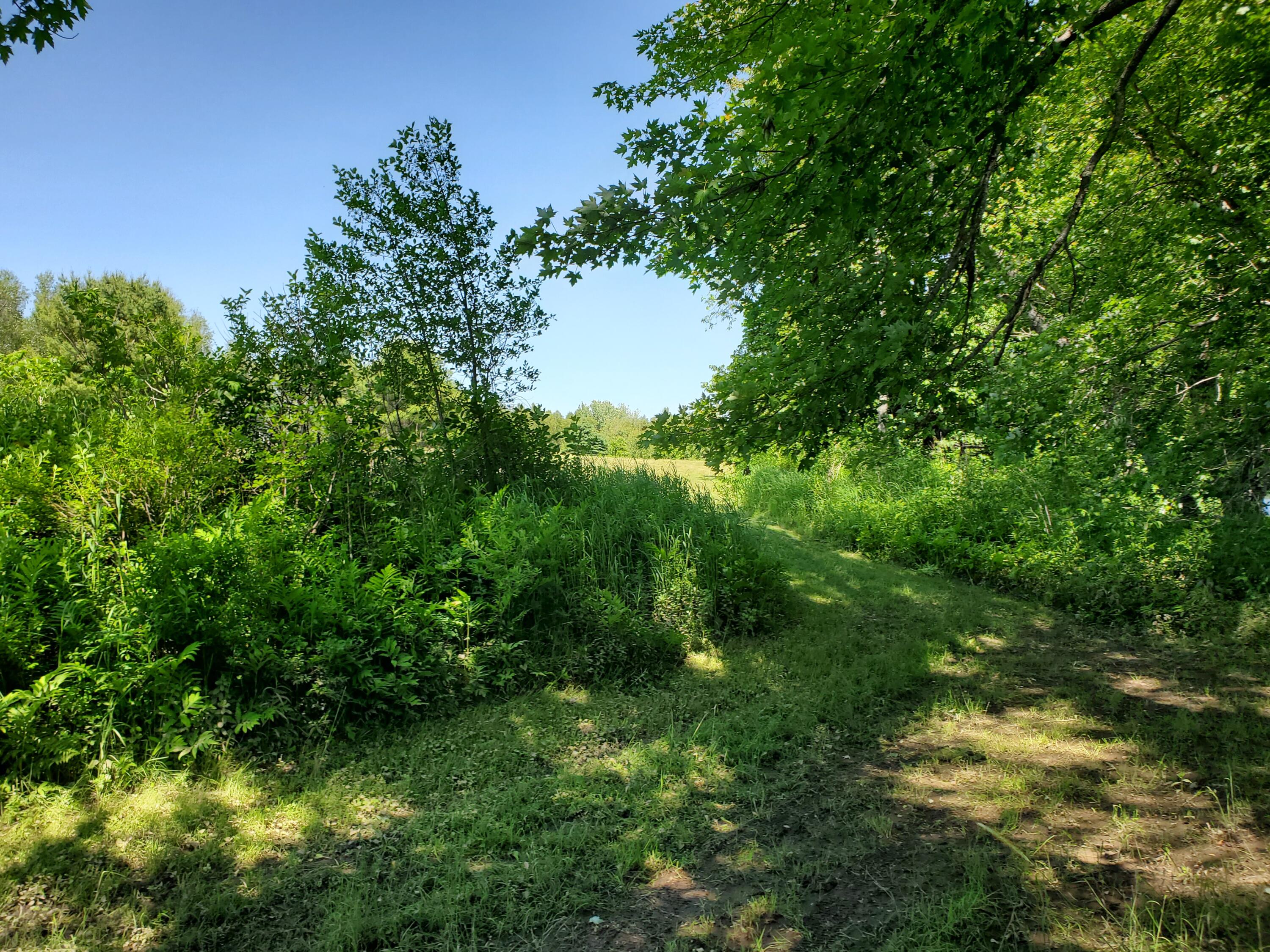 Lot 12-7 Emery Farm Road Medford, ME 04463 - Photo 12 of 13 20230622_140046