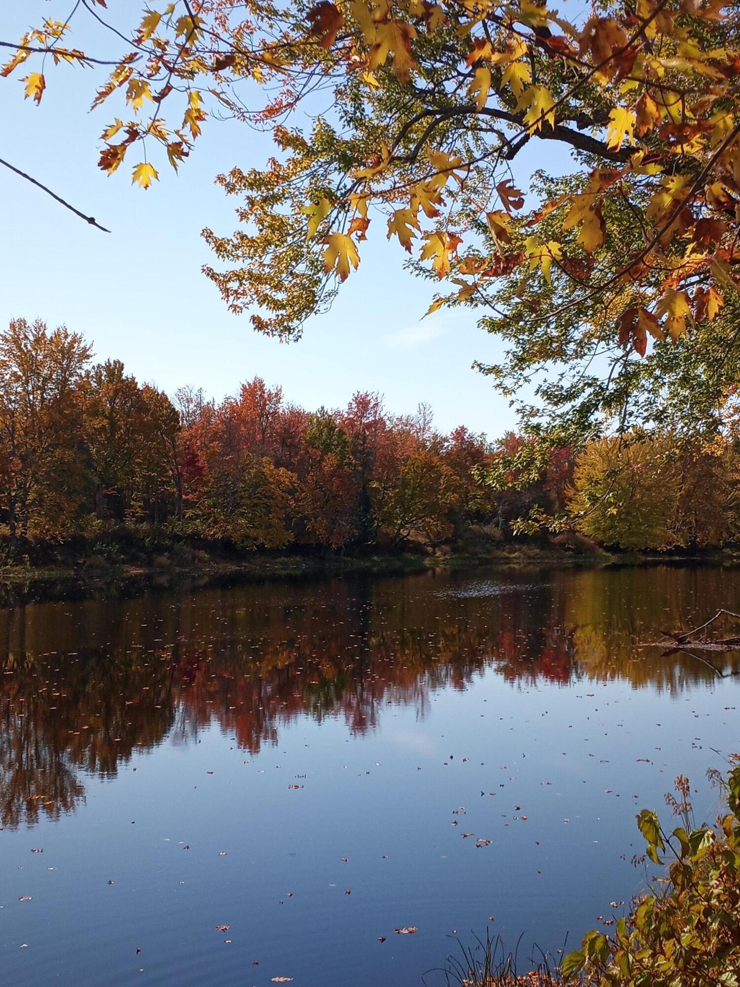 Lot 12-7 Emery Farm Road Medford, ME 04463 - Photo 13 of 13 20221006_132828