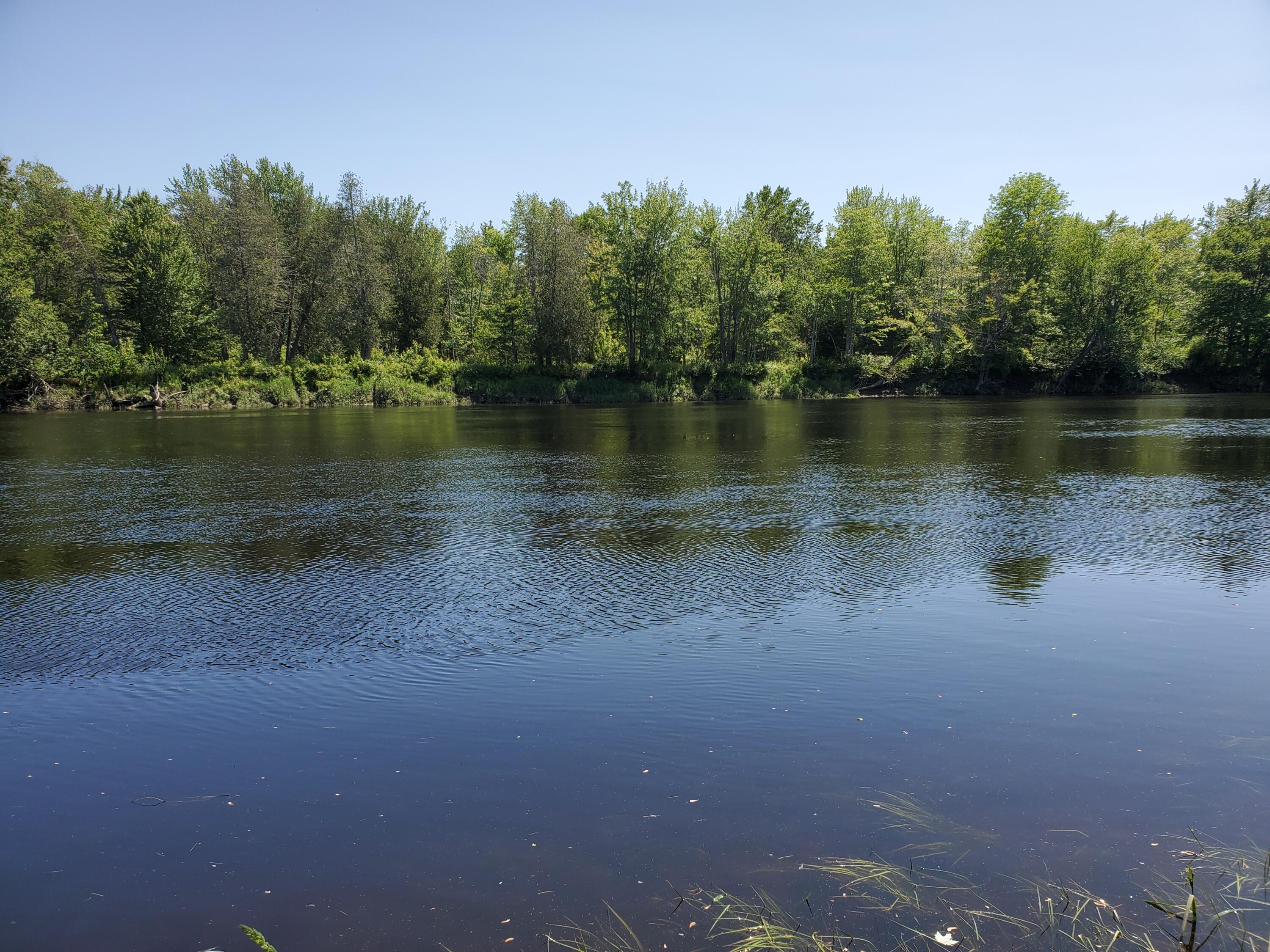 Lot 12-7 Emery Farm Road Medford, ME 04463 - Photo 2 of 13 20230622_140101