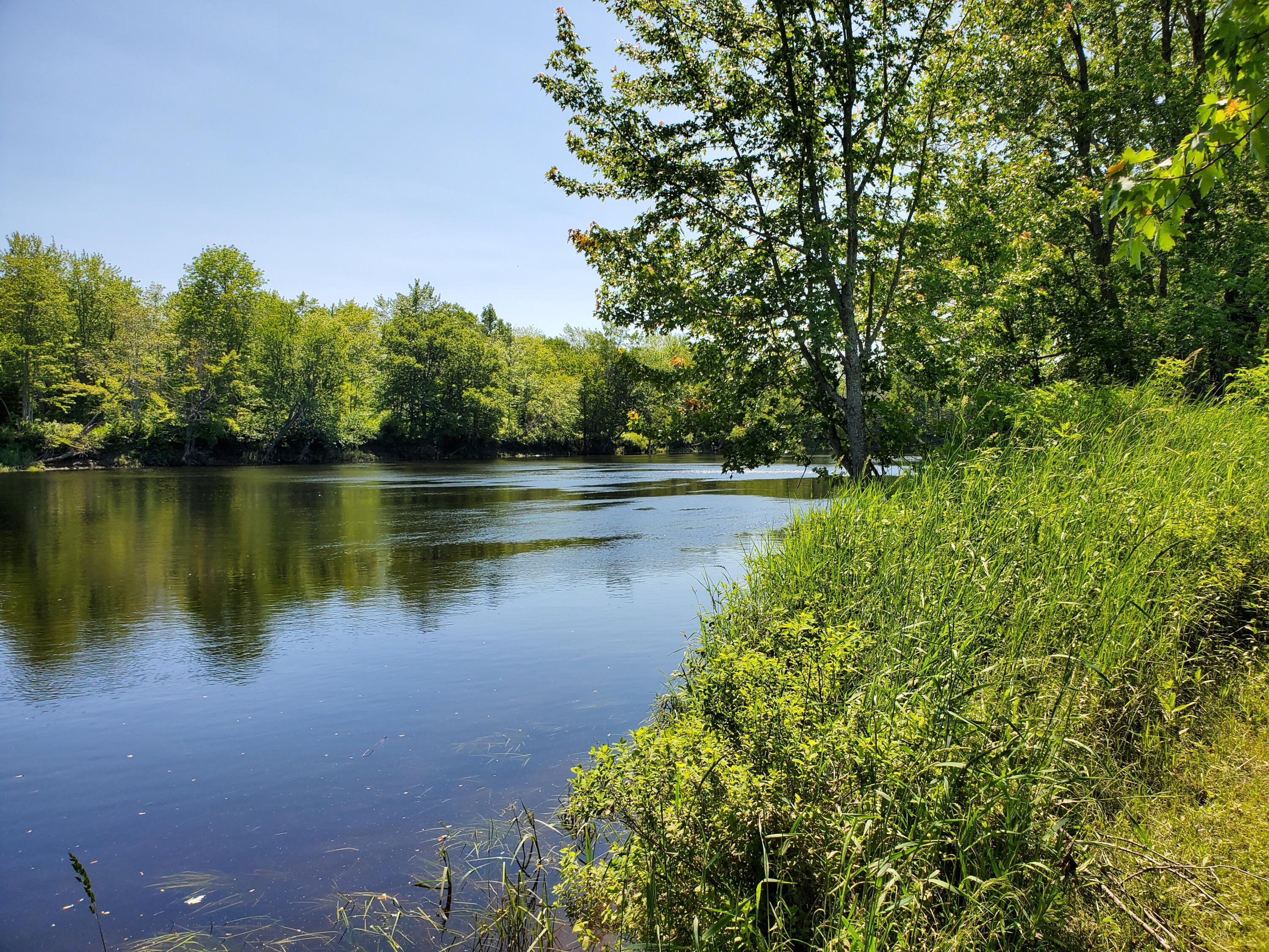 Lot 12-7 Emery Farm Road Medford, ME 04463 - Photo 3 of 13 20230622_140028