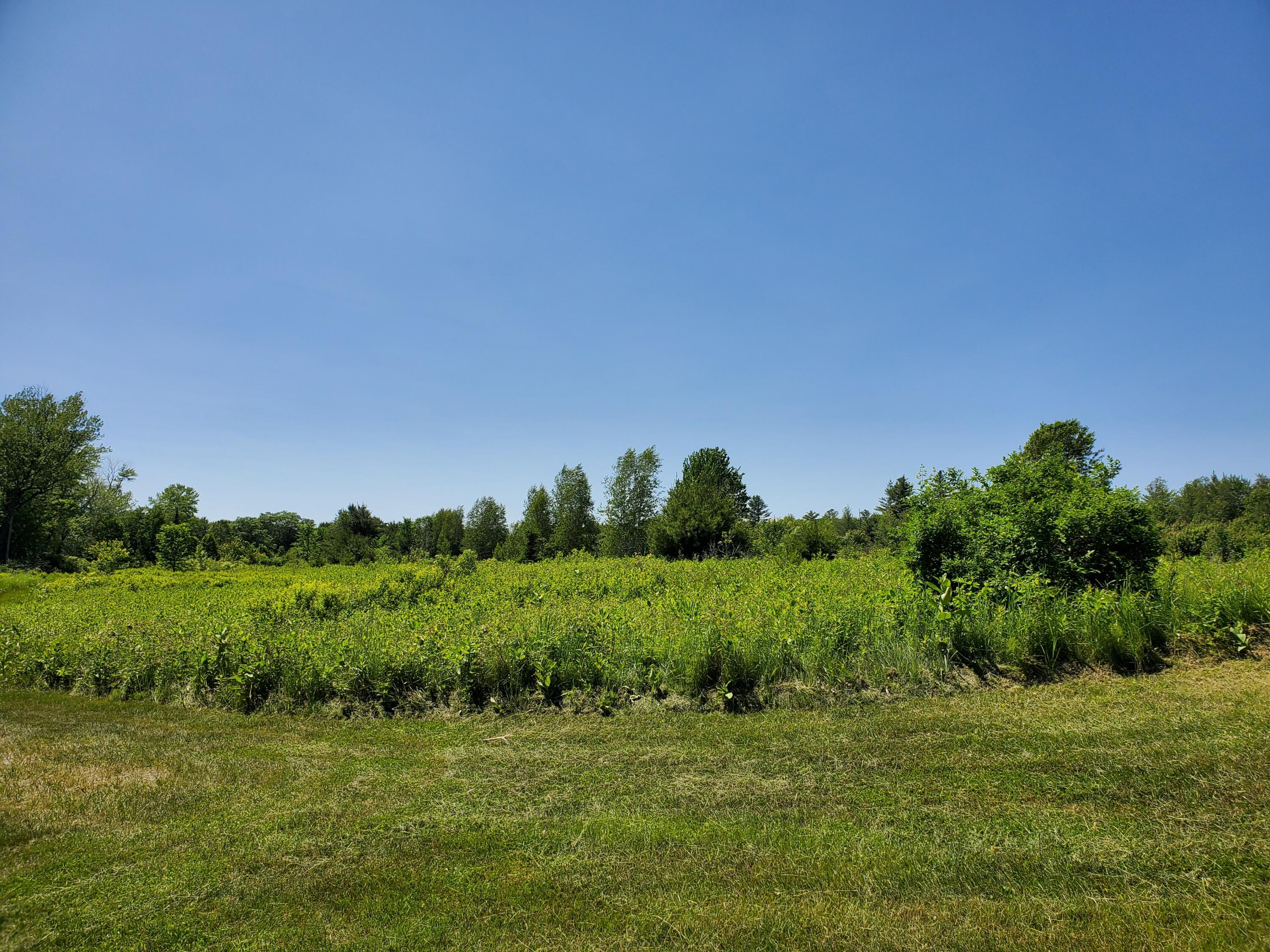 Lot 12-7 Emery Farm Road Medford, ME 04463 - Photo 5 of 13 20230622_140807