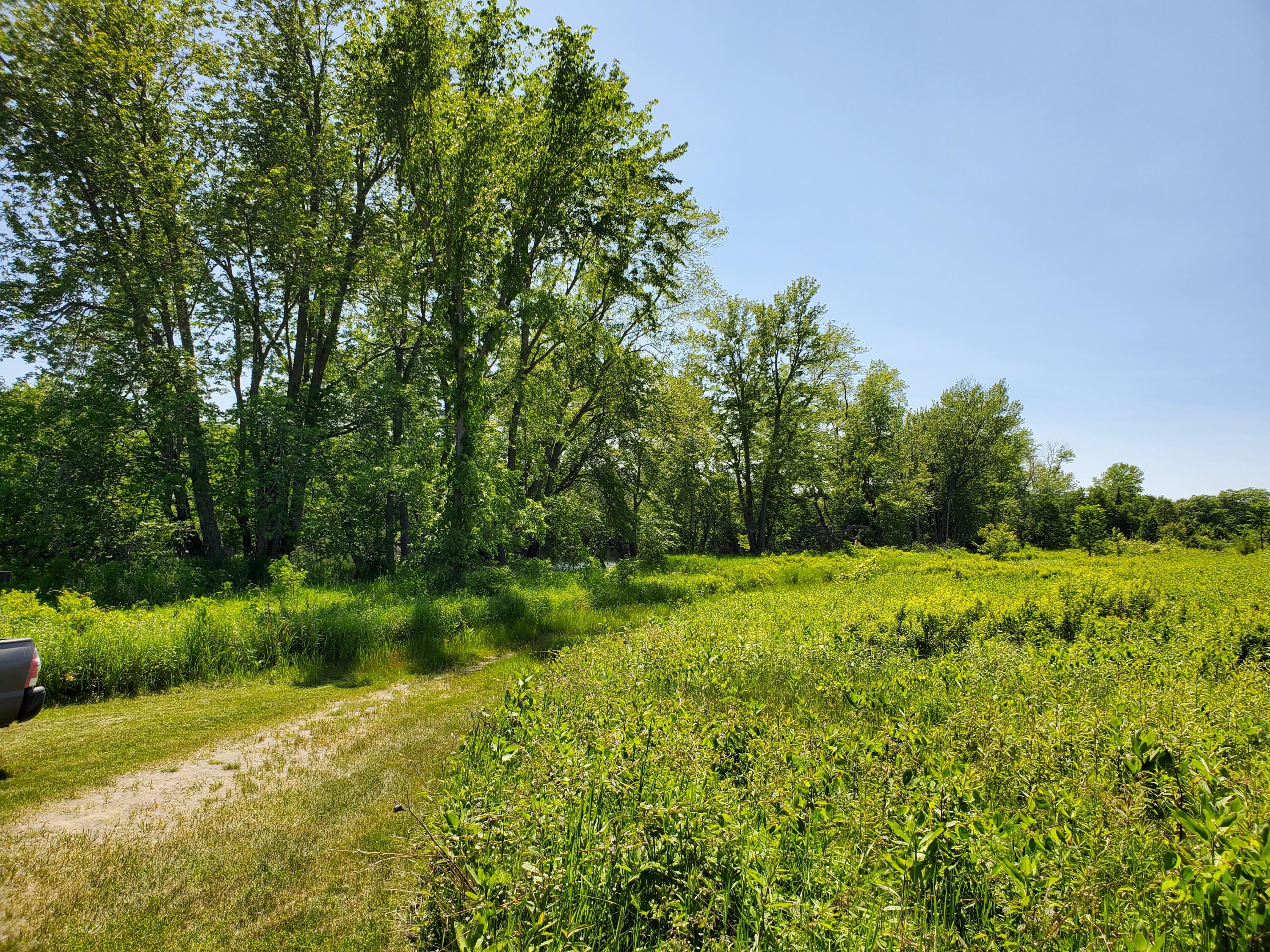 Lot 12-7 Emery Farm Road Medford, ME 04463 - Photo 6 of 13 20230622_140823