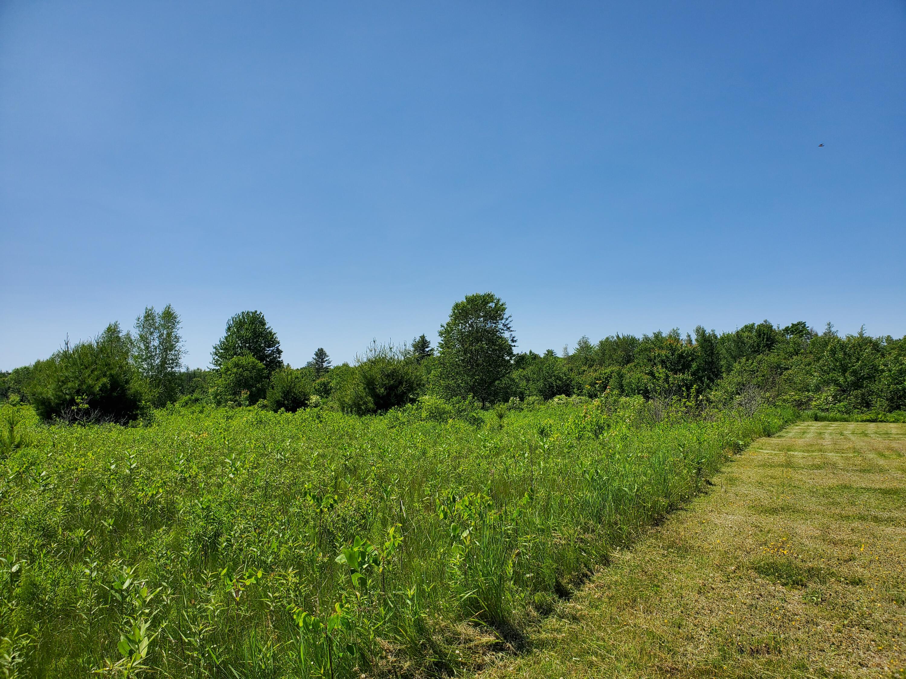 Lot 12-7 Emery Farm Road Medford, ME 04463 - Photo 7 of 13 20230622_140837